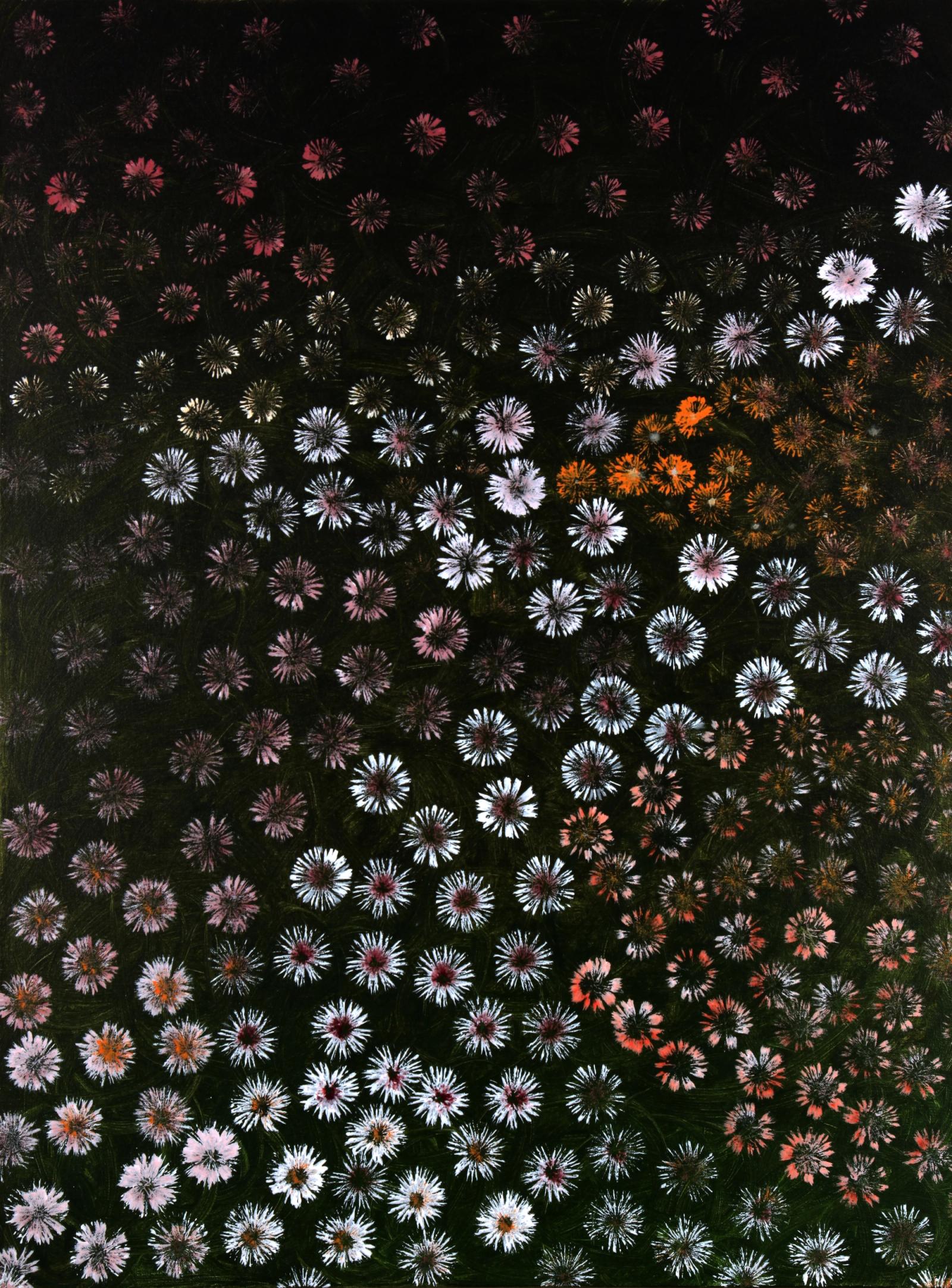 Desert Bloom 8