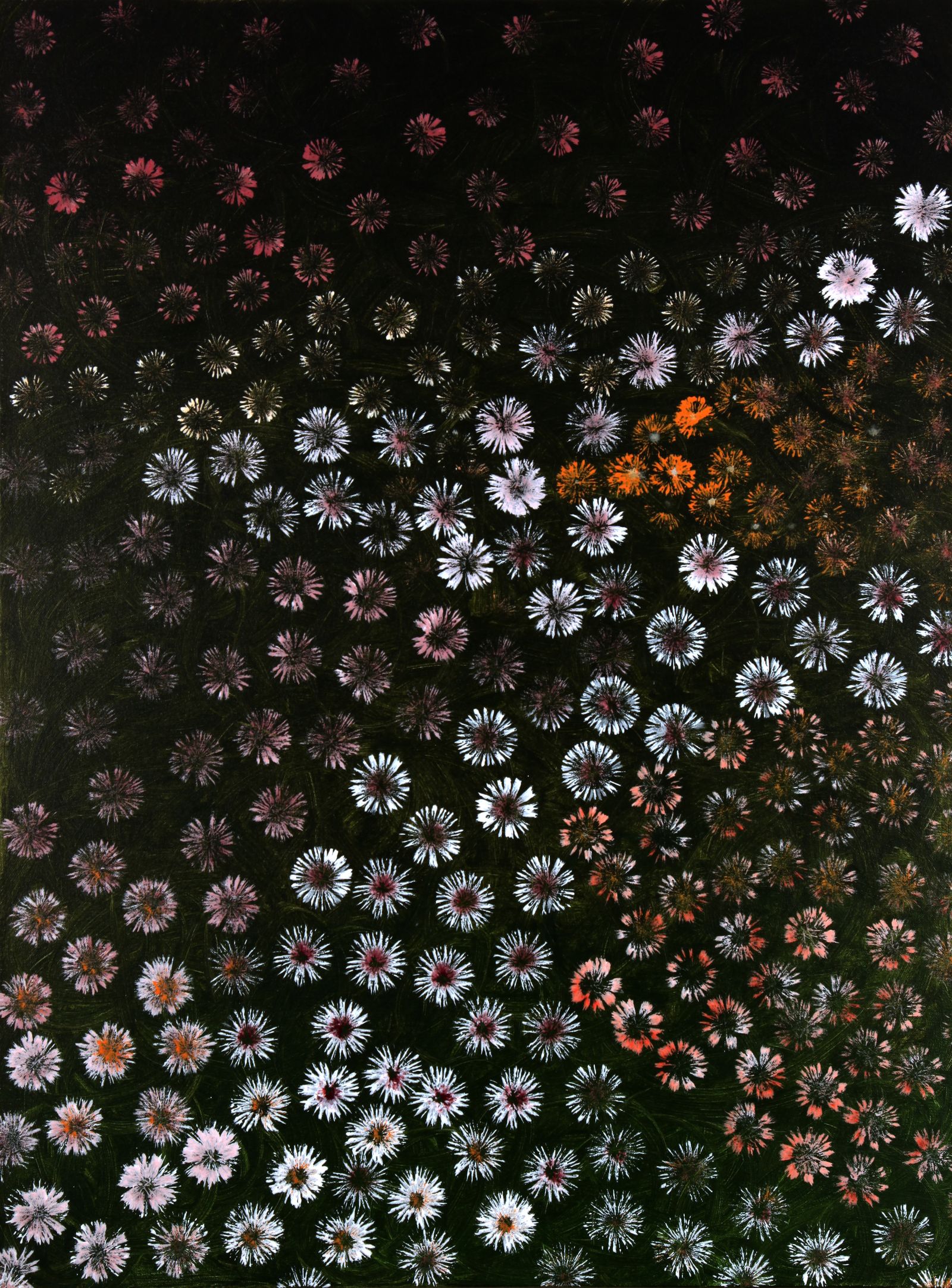 Desert Bloom 8
