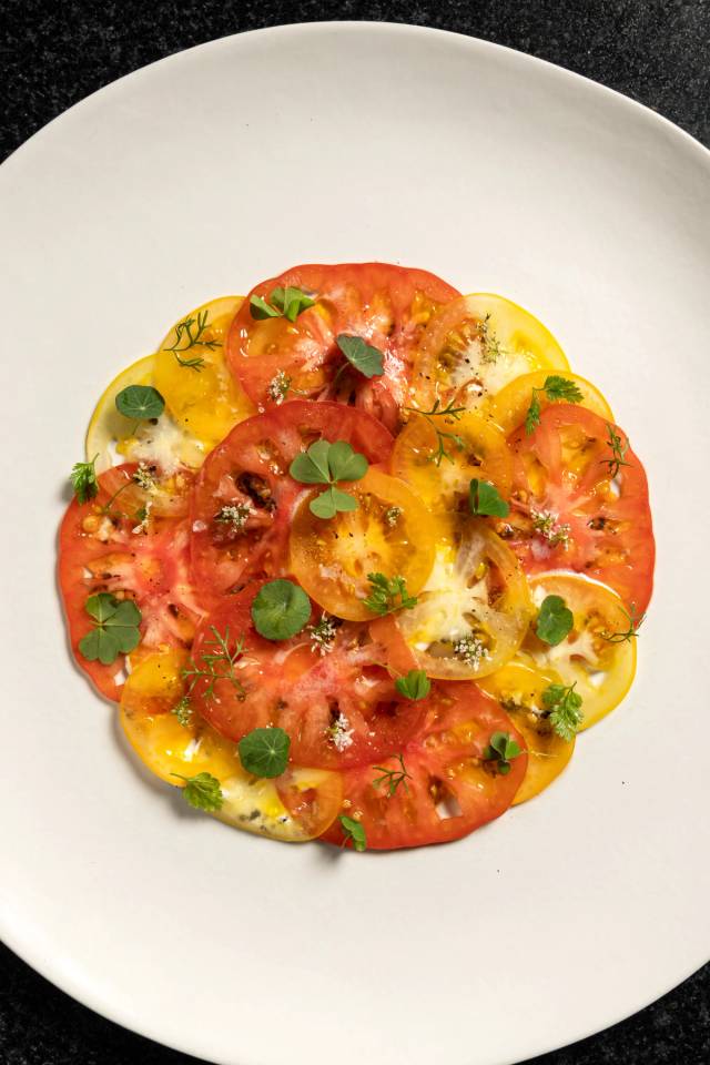 Tomato carpaccio, olive powder, stracciatella