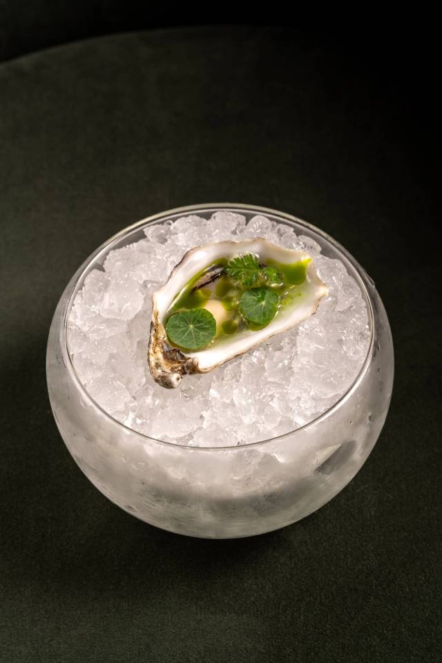 Oyster green kiss, apple, cucumber