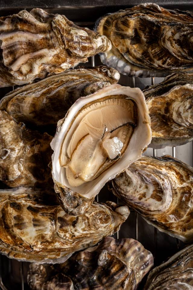 Oyster N4 fine de claire