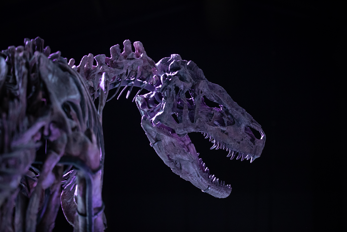 Big Joe from the side