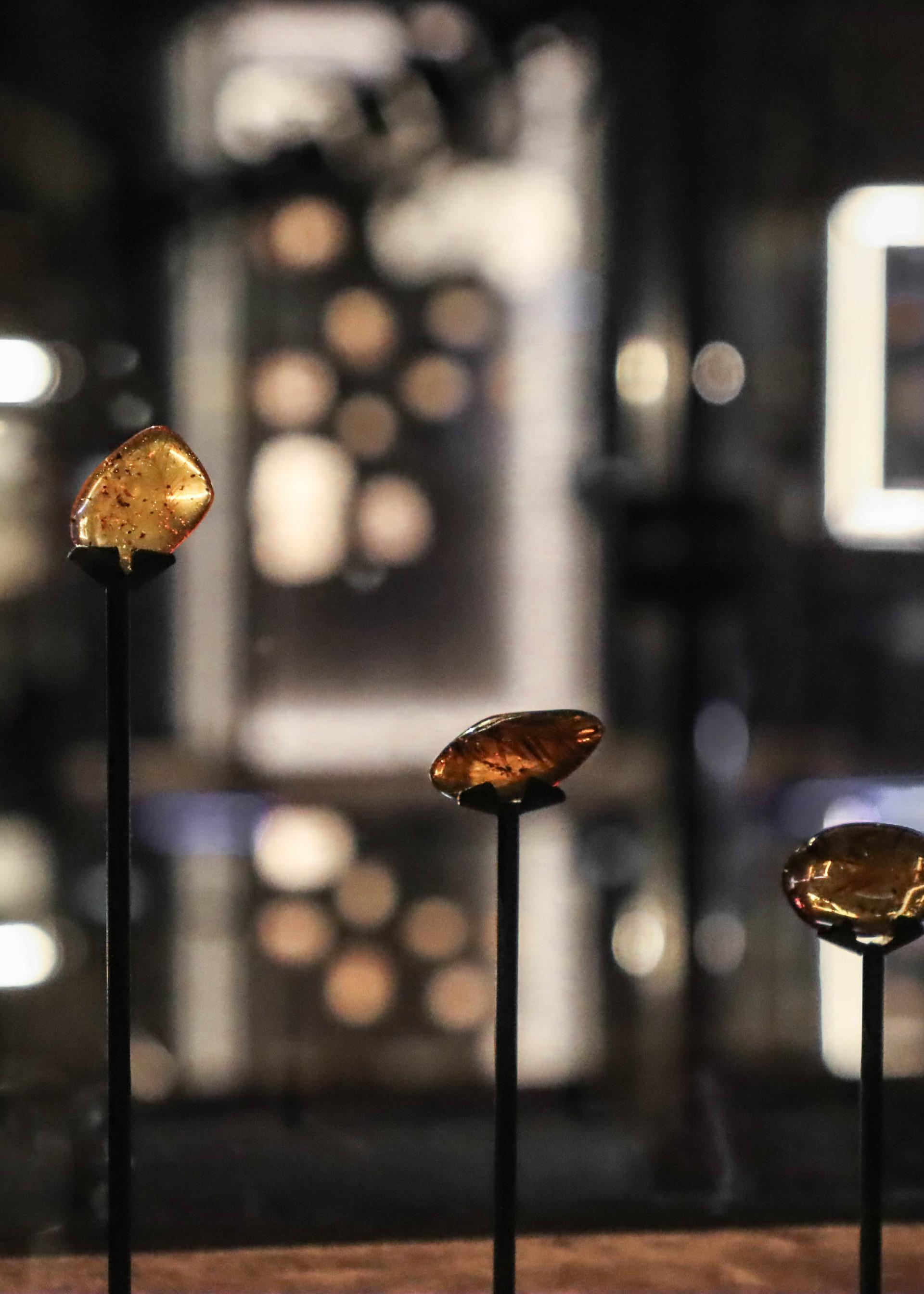 Prehistoric amber pieces from 98 million years ago
