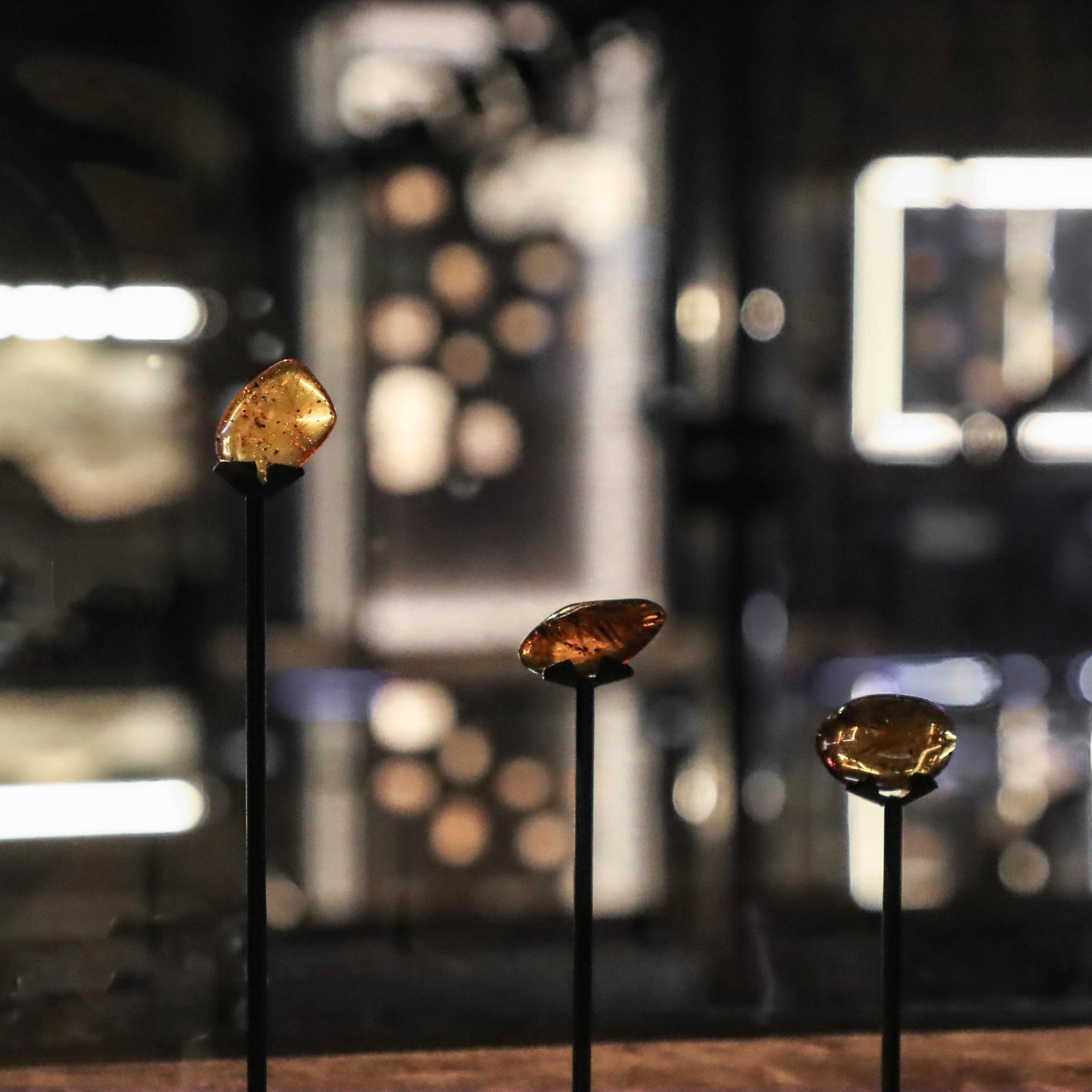 Prehistoric Amber