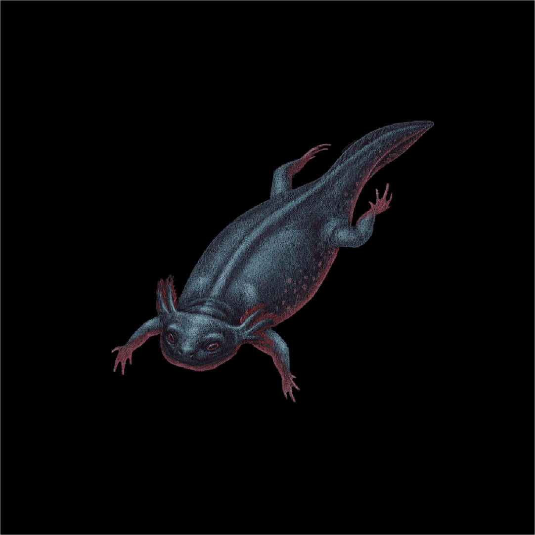 Here is an illustration of how a Apateon is believed to have looked like.