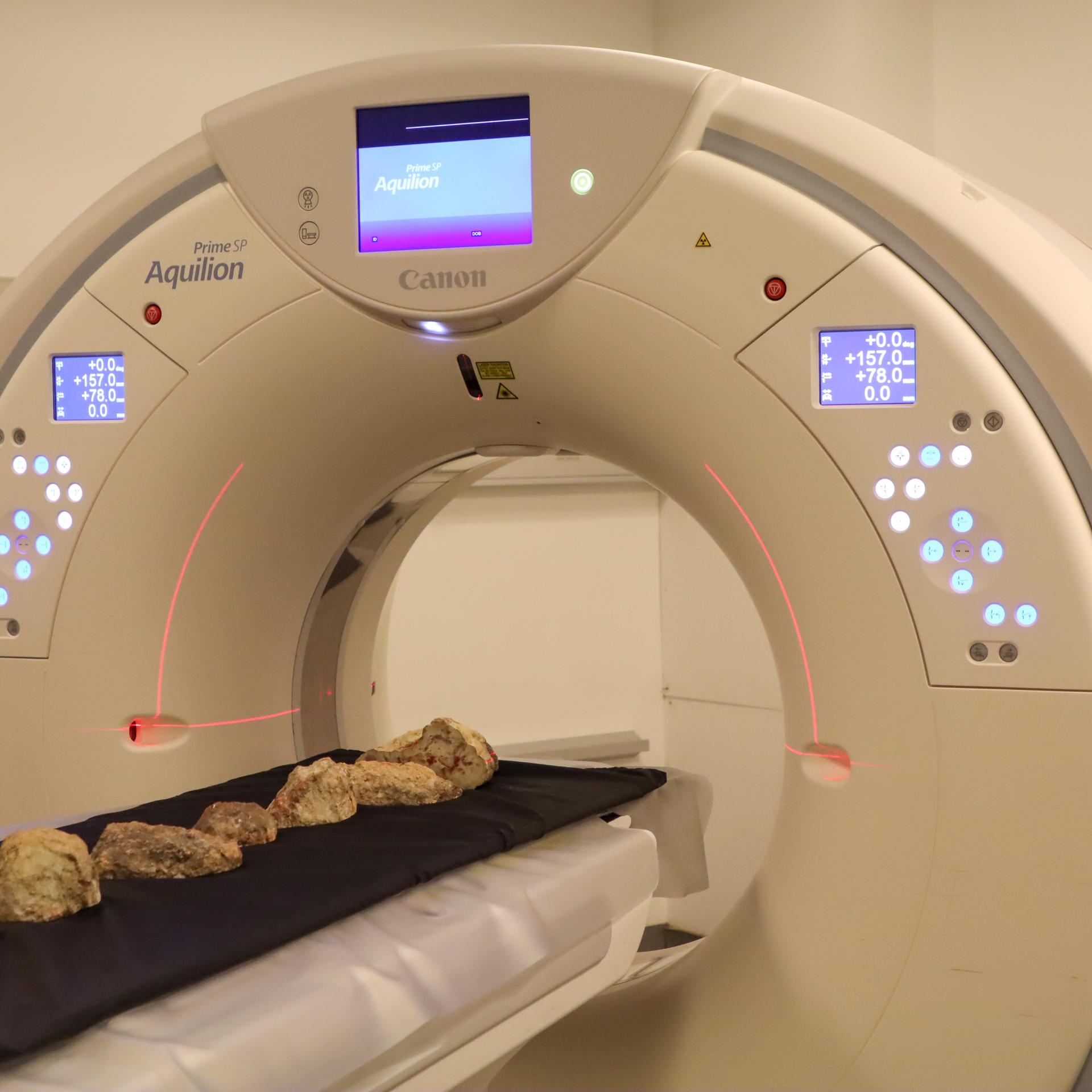 Museum of Evolution Scans Fossilized Dinosaur Dung