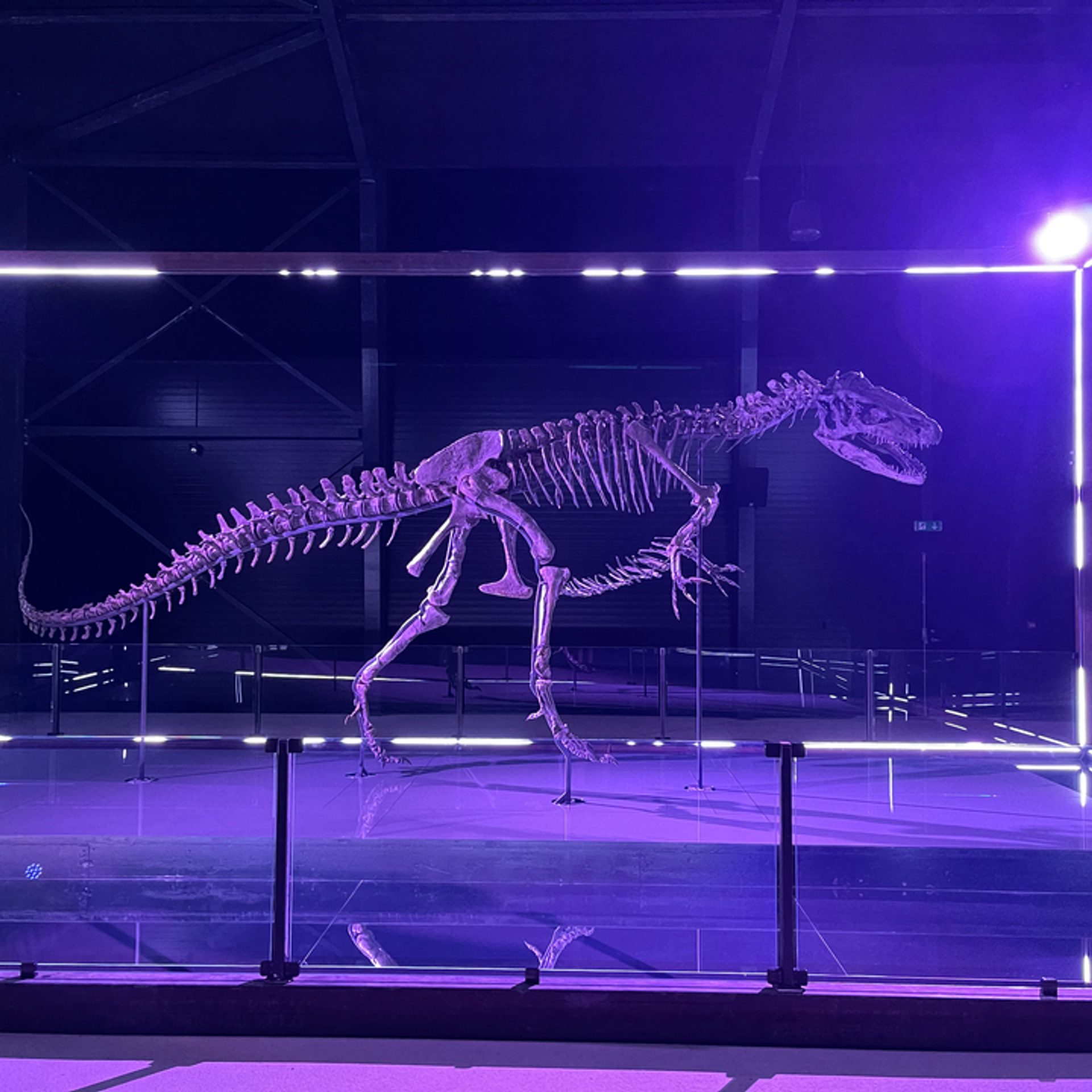 World Premiere at New Danish Museum Exhibition