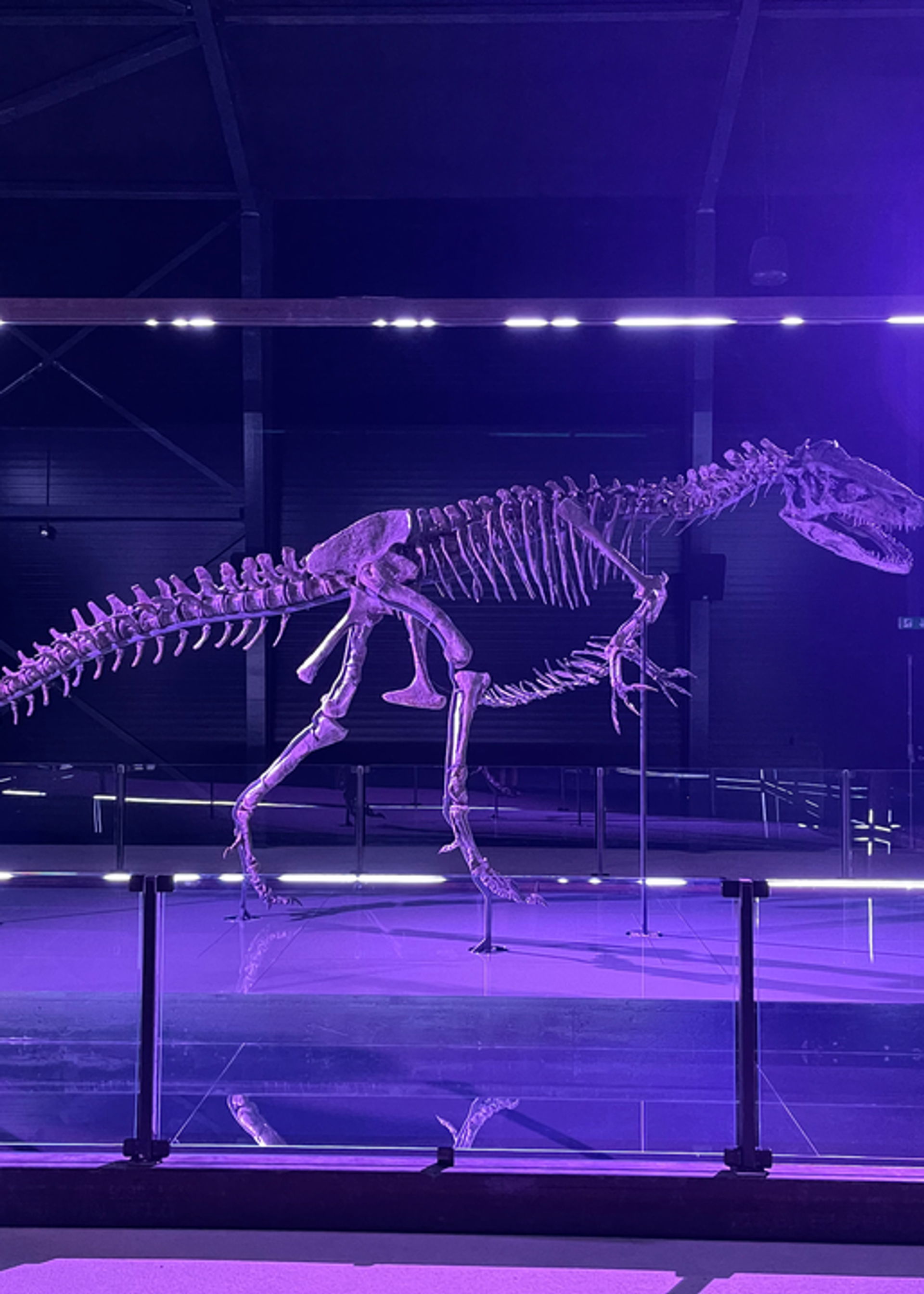 World Premiere at New Danish Museum Exhibition