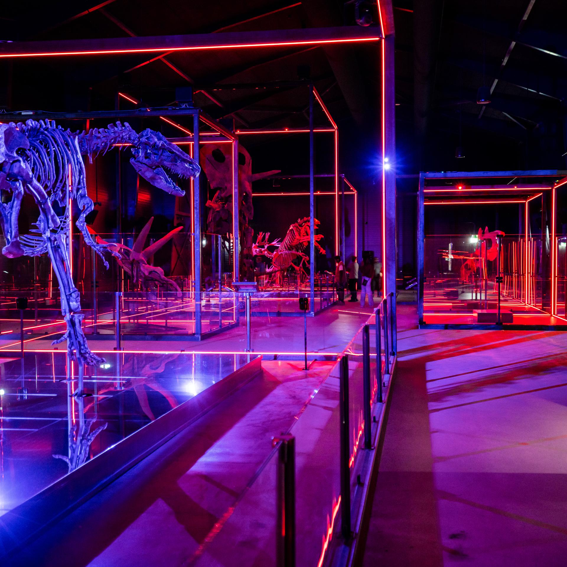 The Museum of Evolution Enjoys a Fantastic Start with Significant International Attention