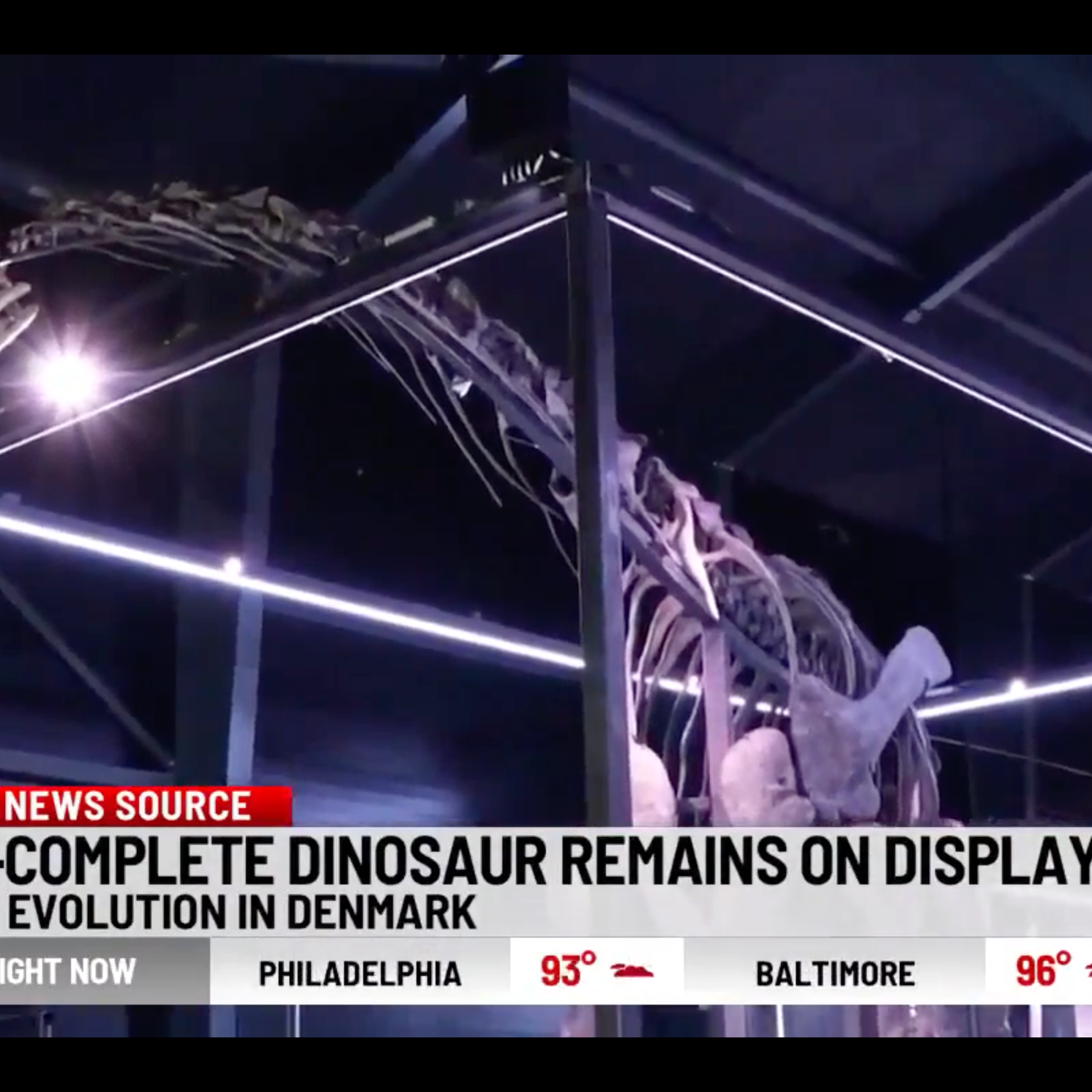 Over 1 Billion Views Worldwide Propel the Museum of Evolution on Lolland to Focus on International Guests