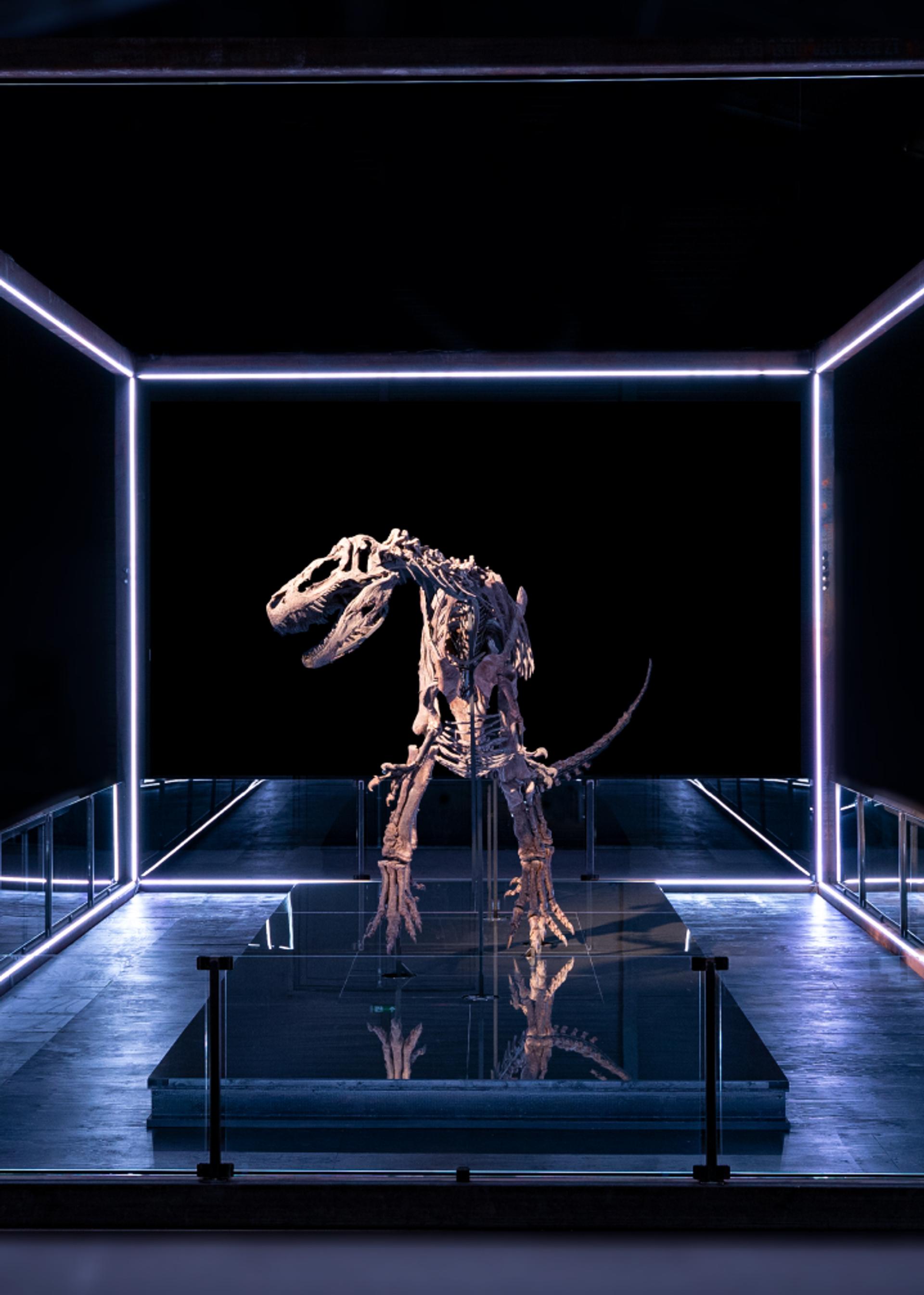 Big Joe at Denmark's first (and only) dinosaur museum