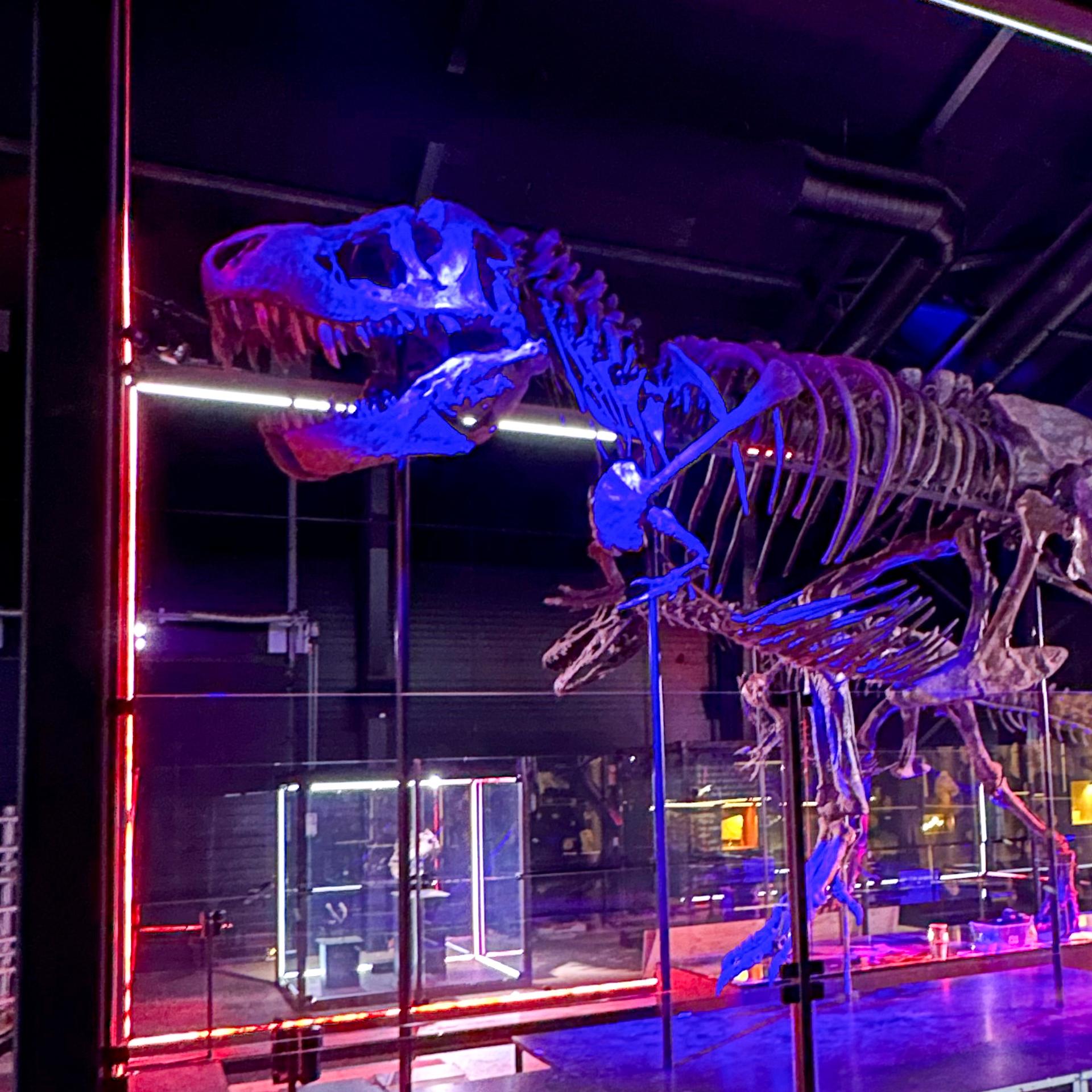 T. rex Trinity has landed - pictures and videos now available