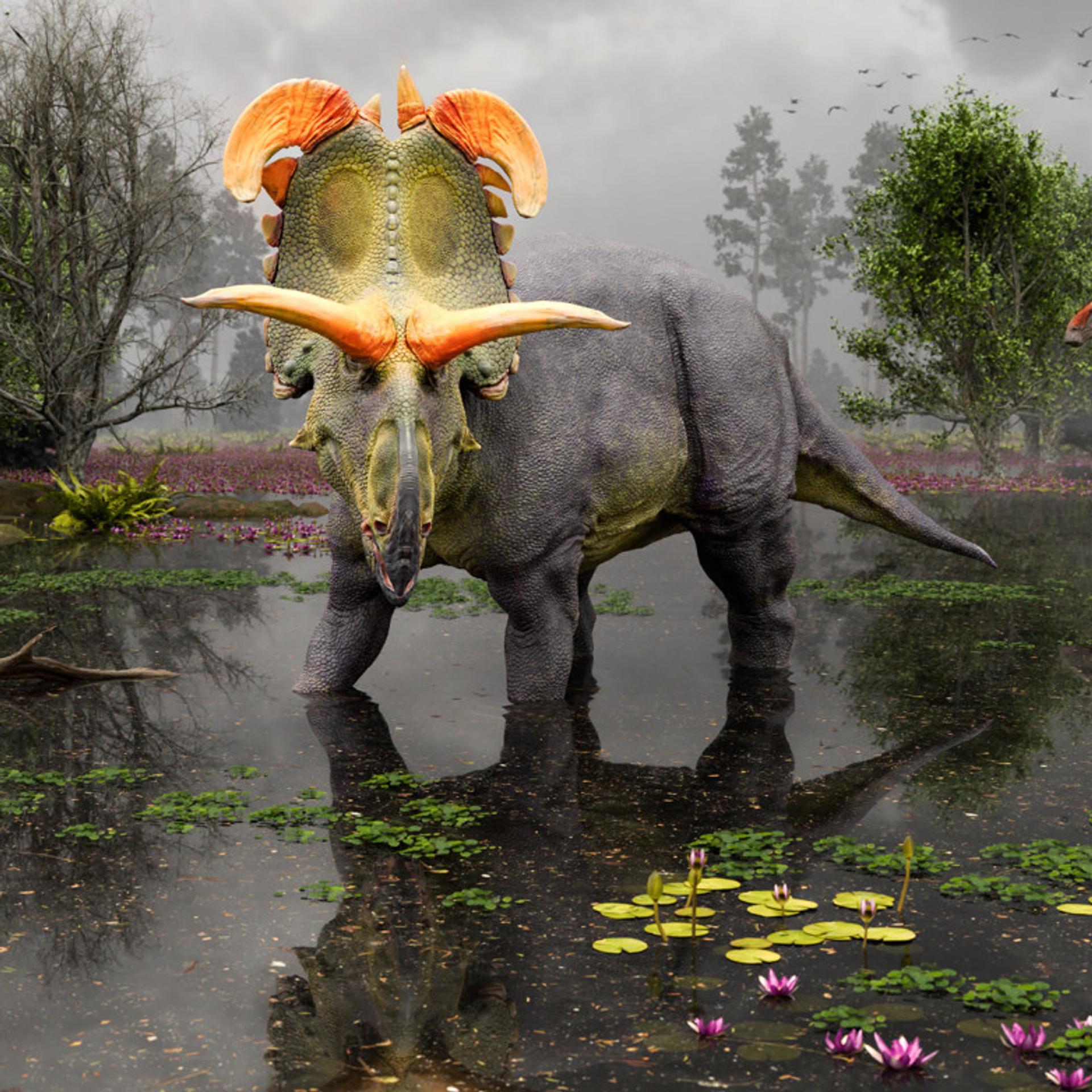 New, giant horned dinosaur discovered in the ancient swamps of Montana