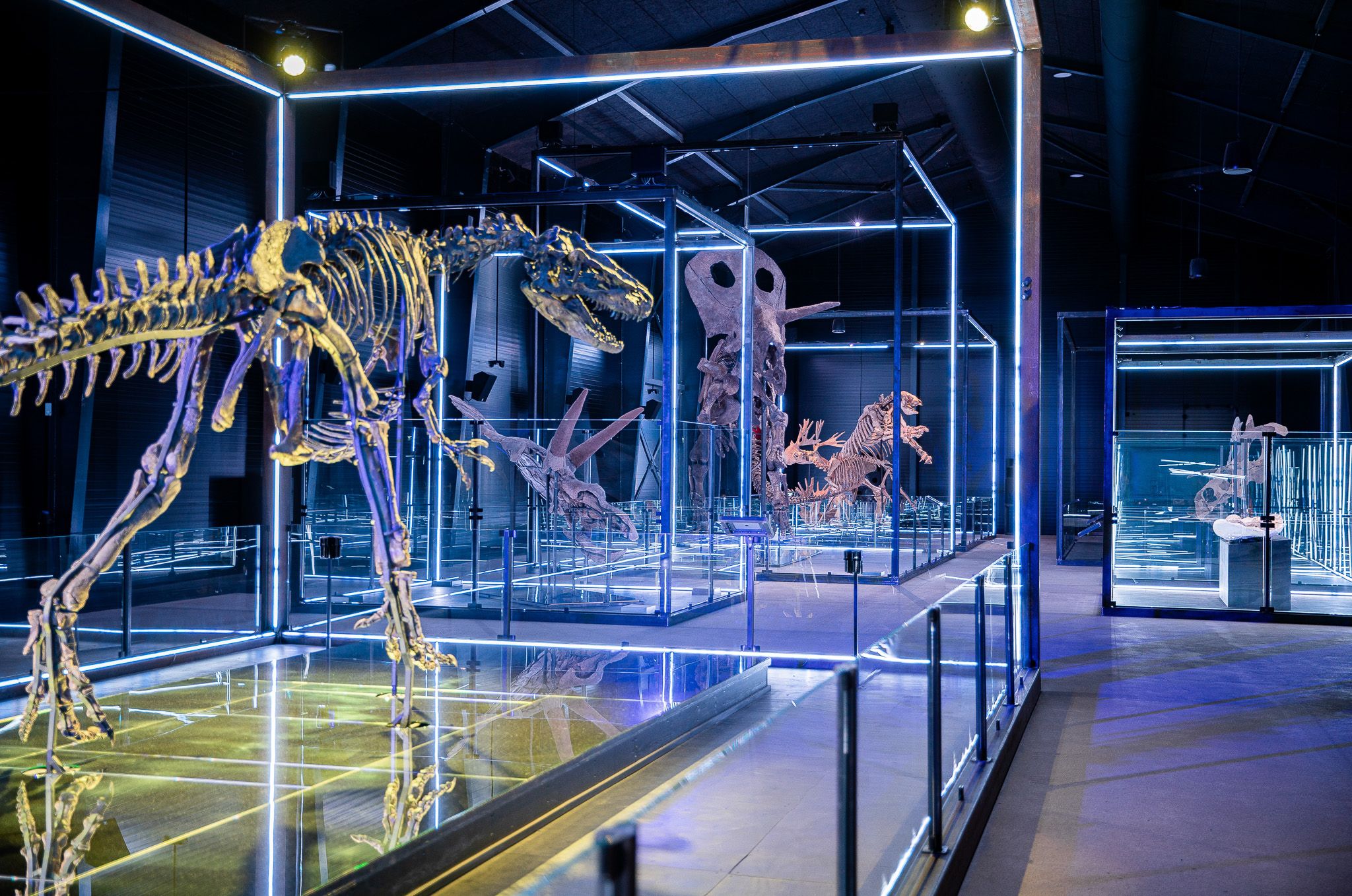 Dinosaur Era Building