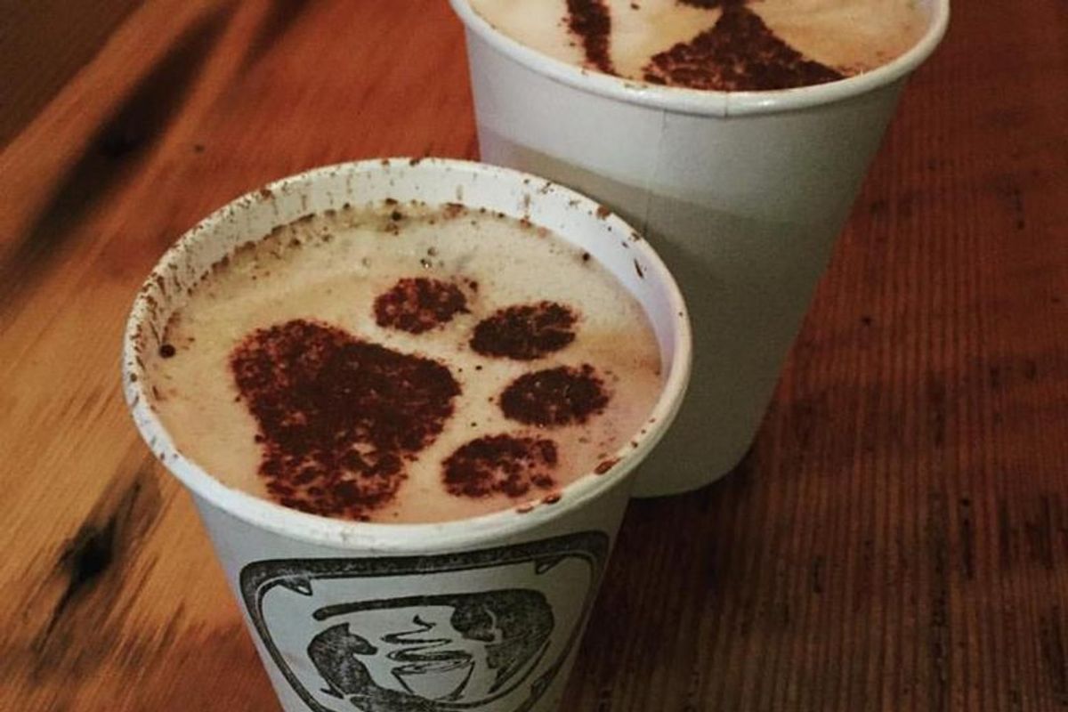 Seattle Meowtropolitan Cat Café