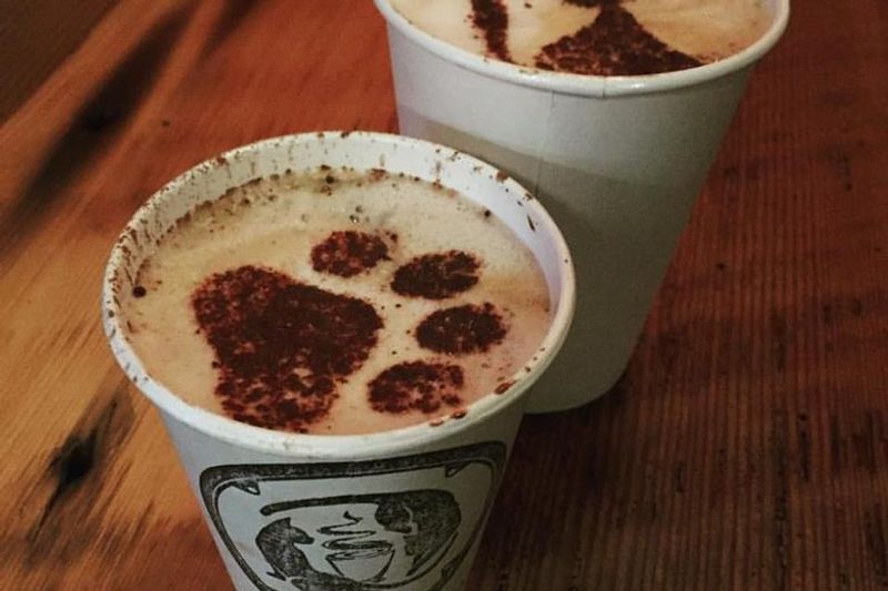 Seattle Meowtropolitan Cat Café
