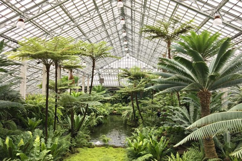 Garfield Park Conservatory
