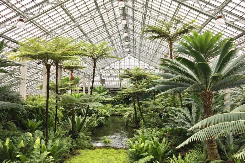 Garfield Park Conservatory