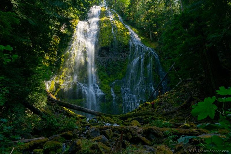 Proxy Falls