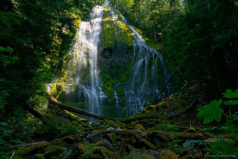Proxy Falls