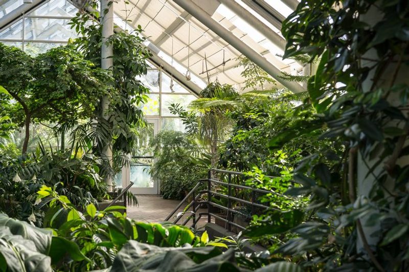 Brooklyn Botanic Garden