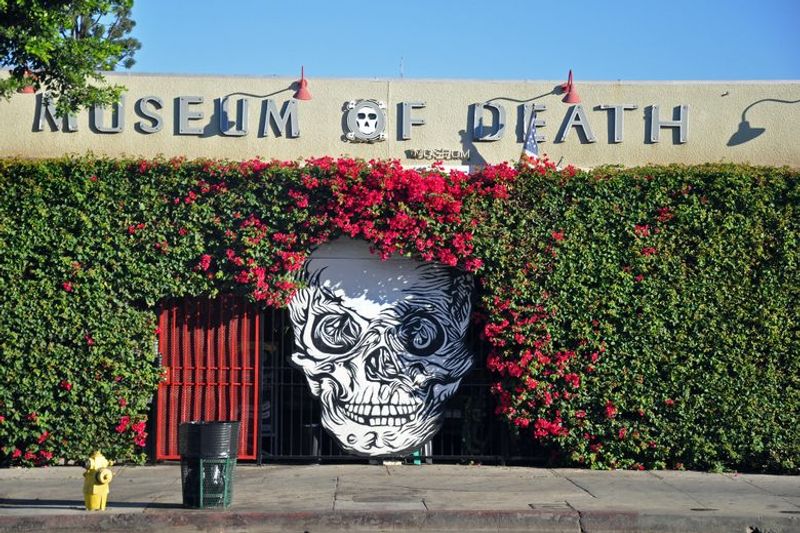 The Museum of Death
