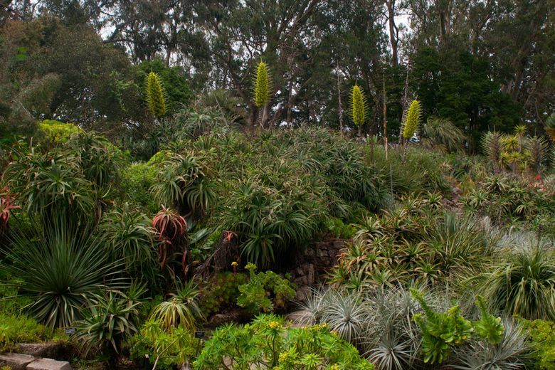 Garden of Fragrance