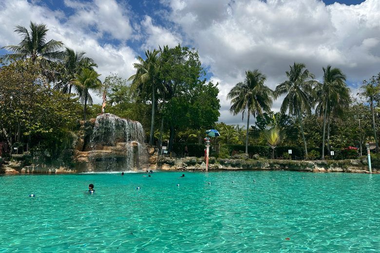 Swimmers in the turquoise water of the Venetian Pool, which features a rock waterfall and palm trees under a cloudy sky.