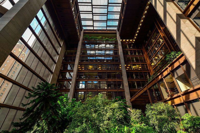 New York's Hidden Tropical Forest