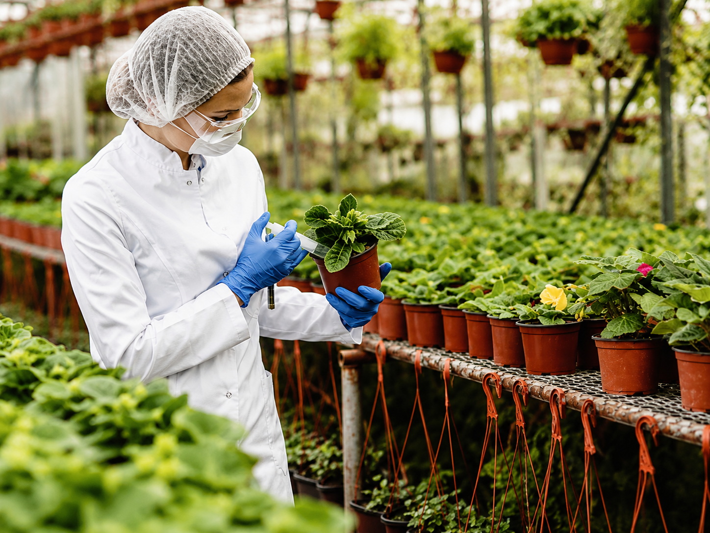 Global Agricultural Chemicals Market