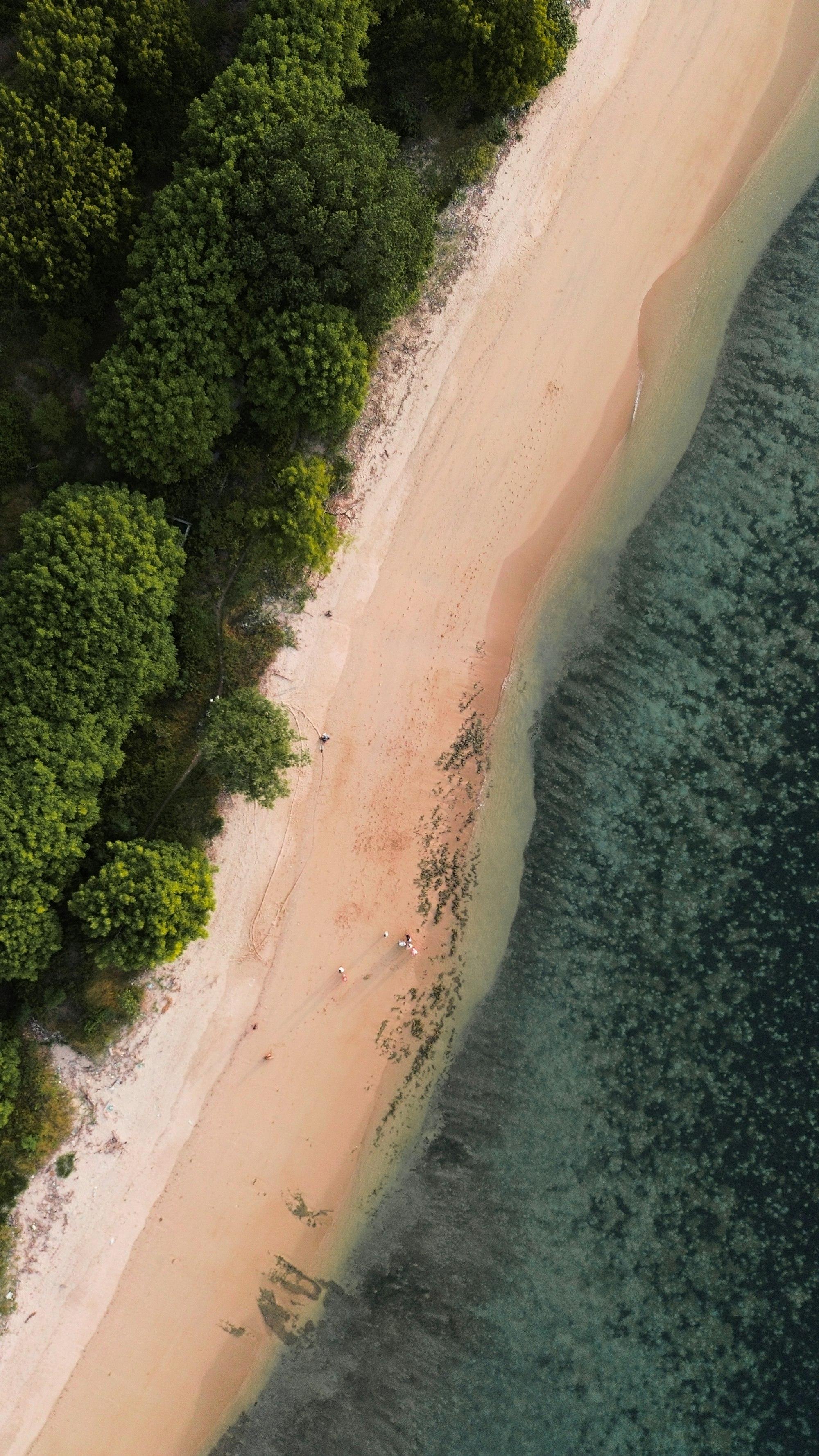 Pantai pasir merah muda dan hutan pesisir Lombok dari udara