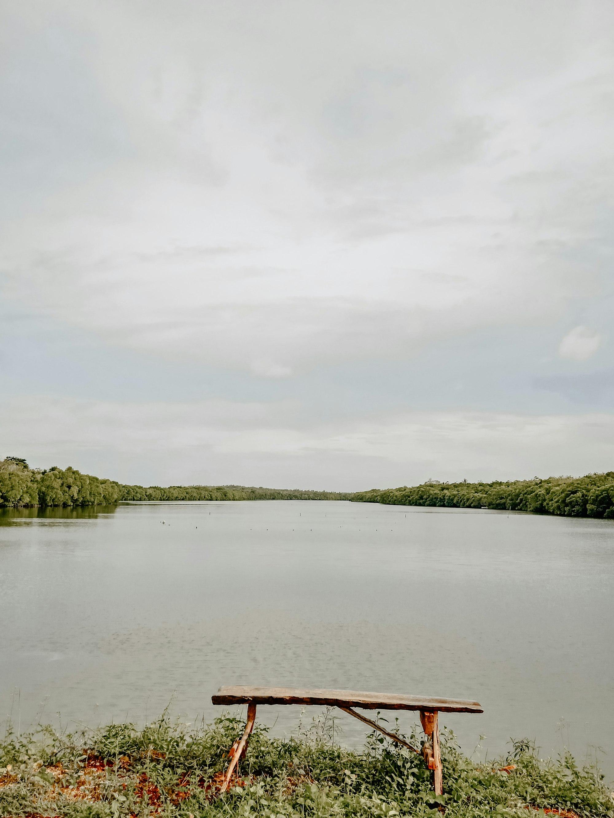 Laguna tenang berhutan bakau di Karimunjawa