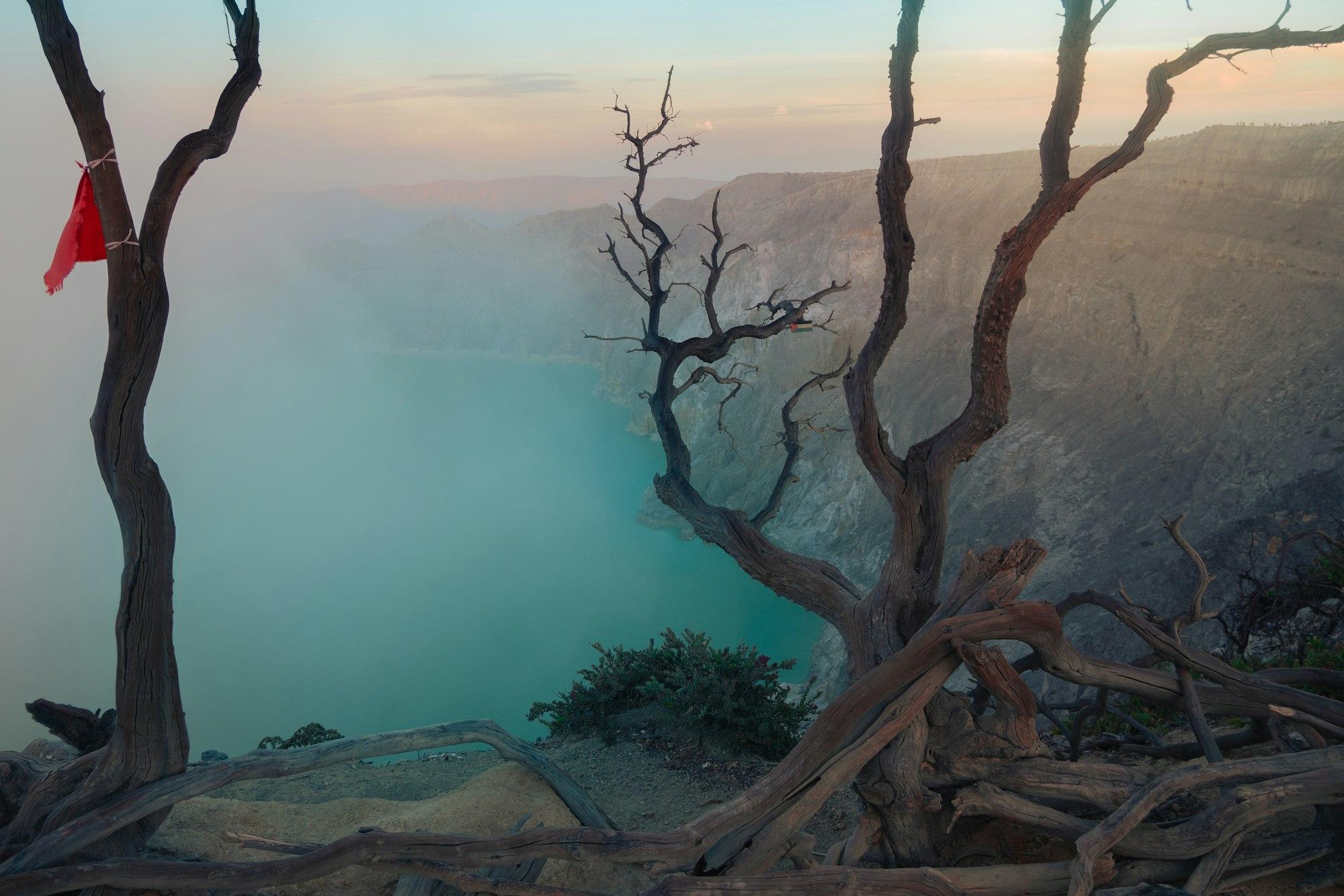 Ranting pohon kering berlatar kabut kawah Ijen