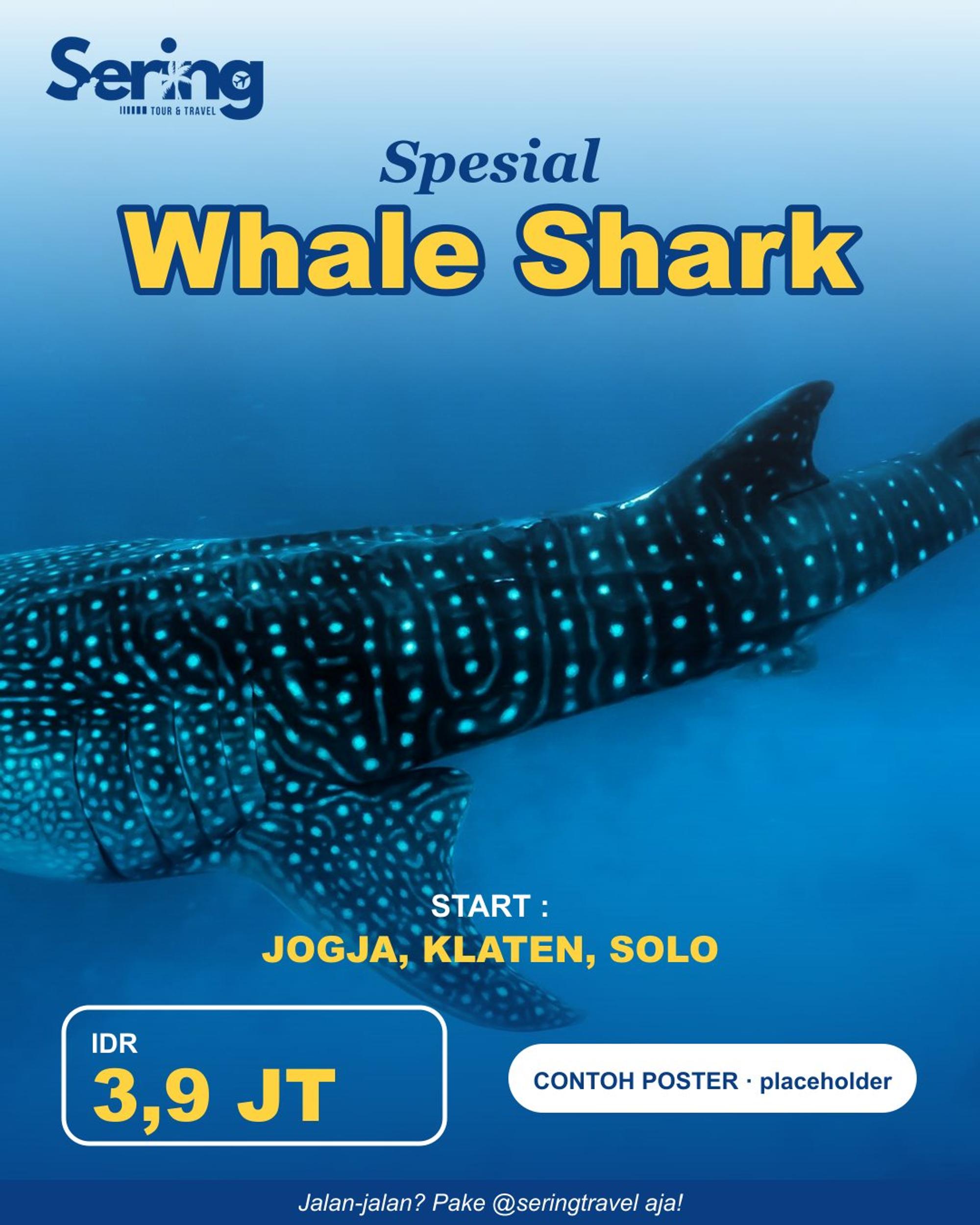 Poster Spesial Whale Shark — Sumbawa & Lombok