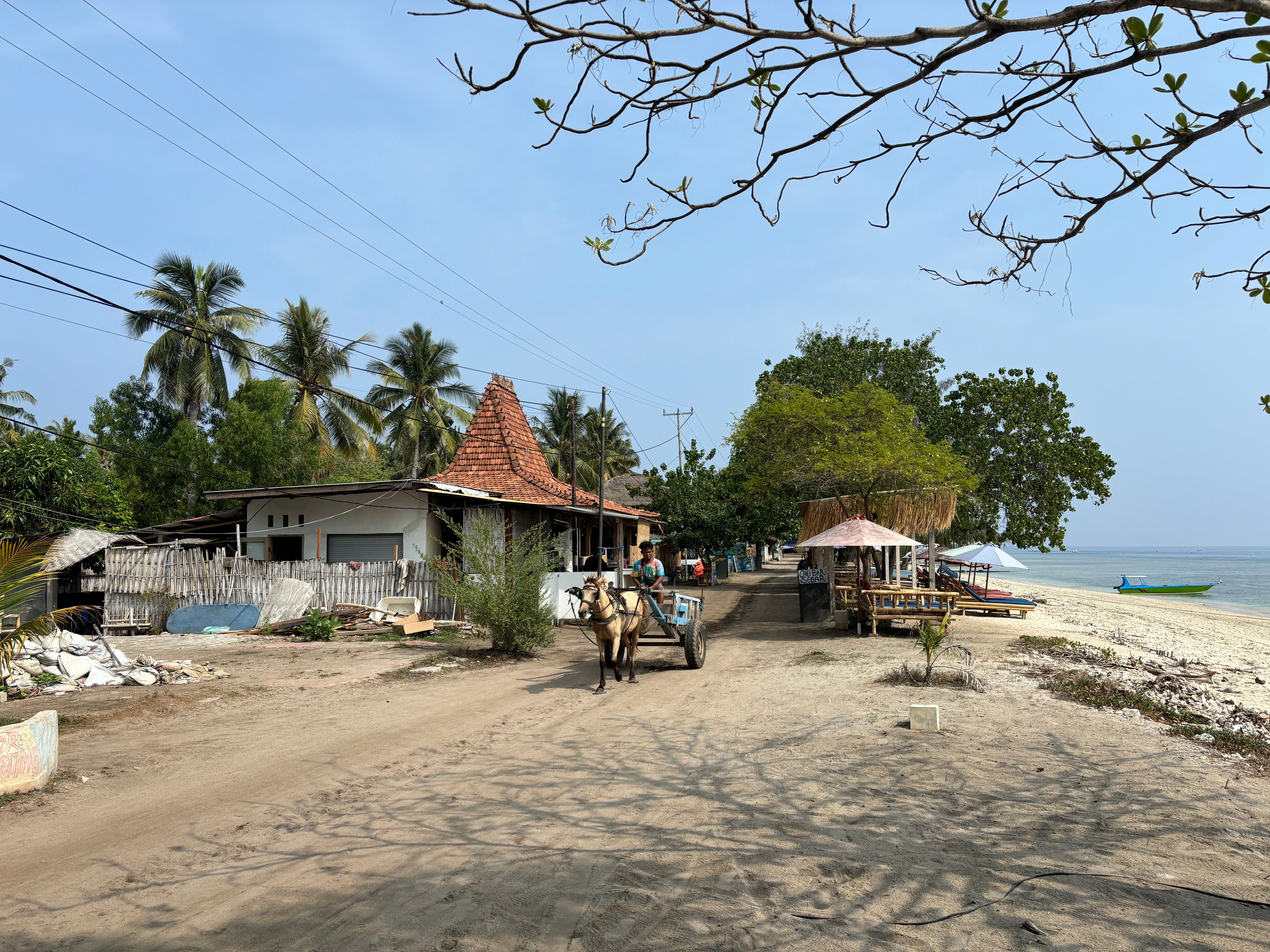 Horse cart in Gili Air