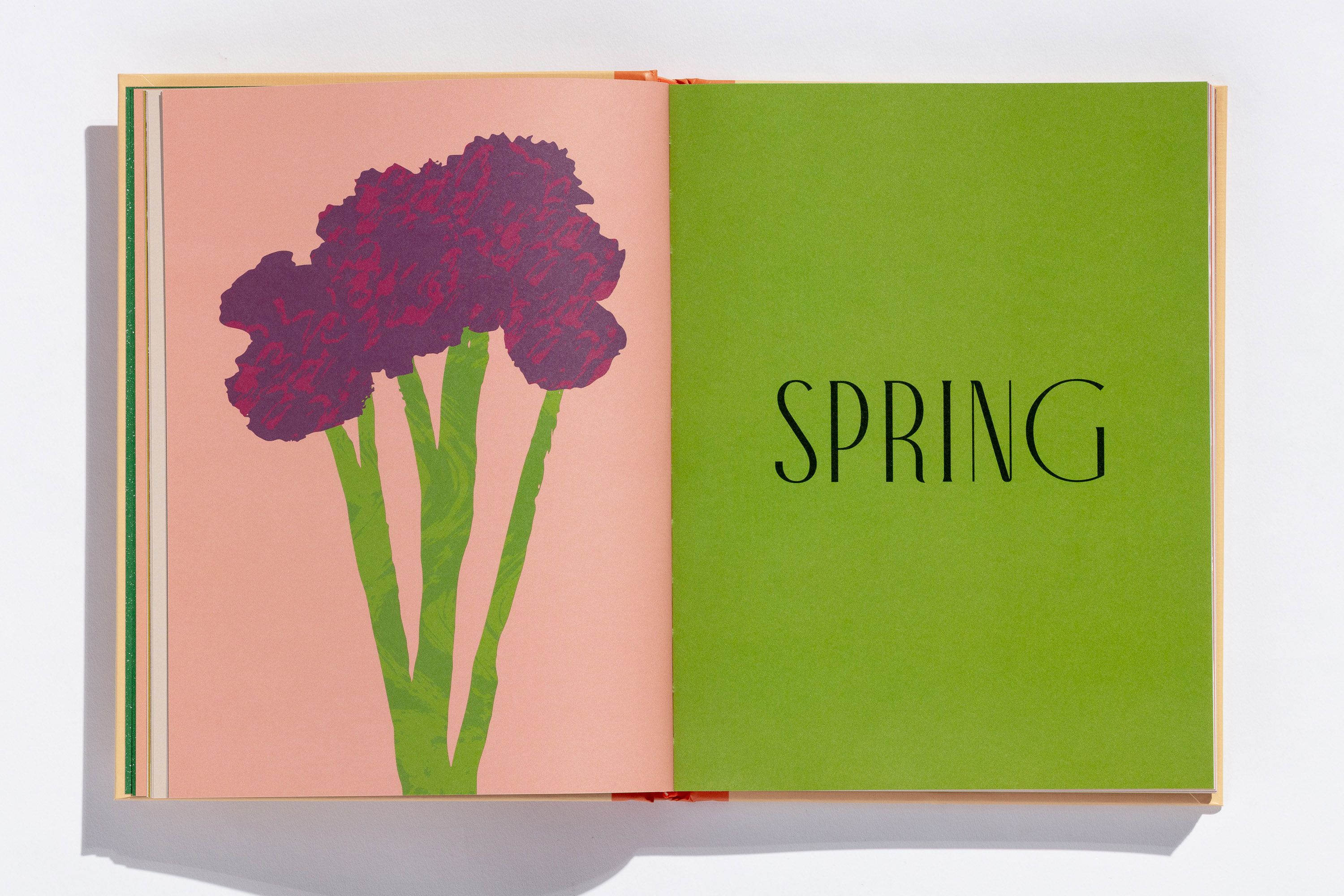 The Magnificent Book of Vegetables | Evi-O.Studio