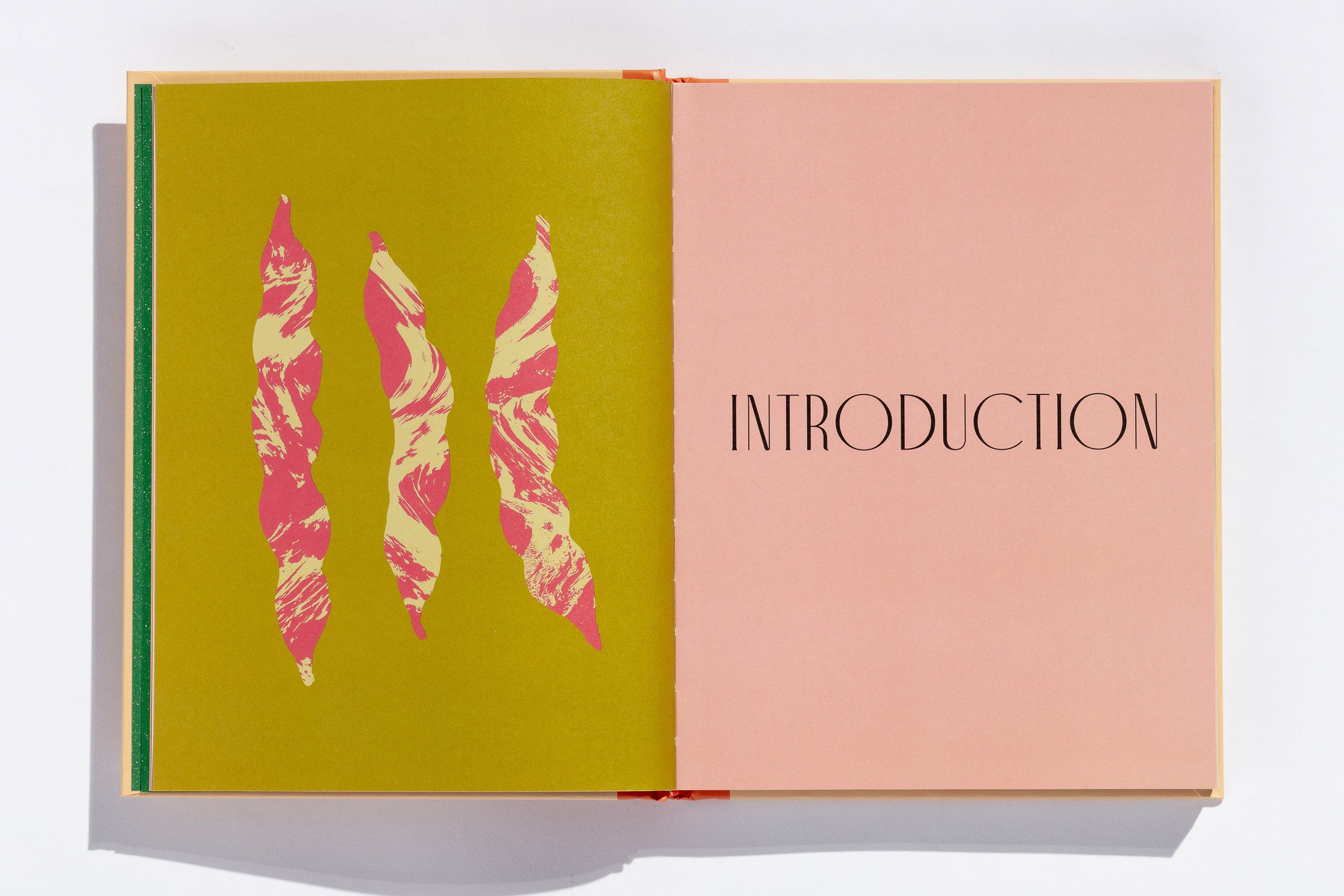 The Magnificent Book of Vegetables | Evi-O.Studio