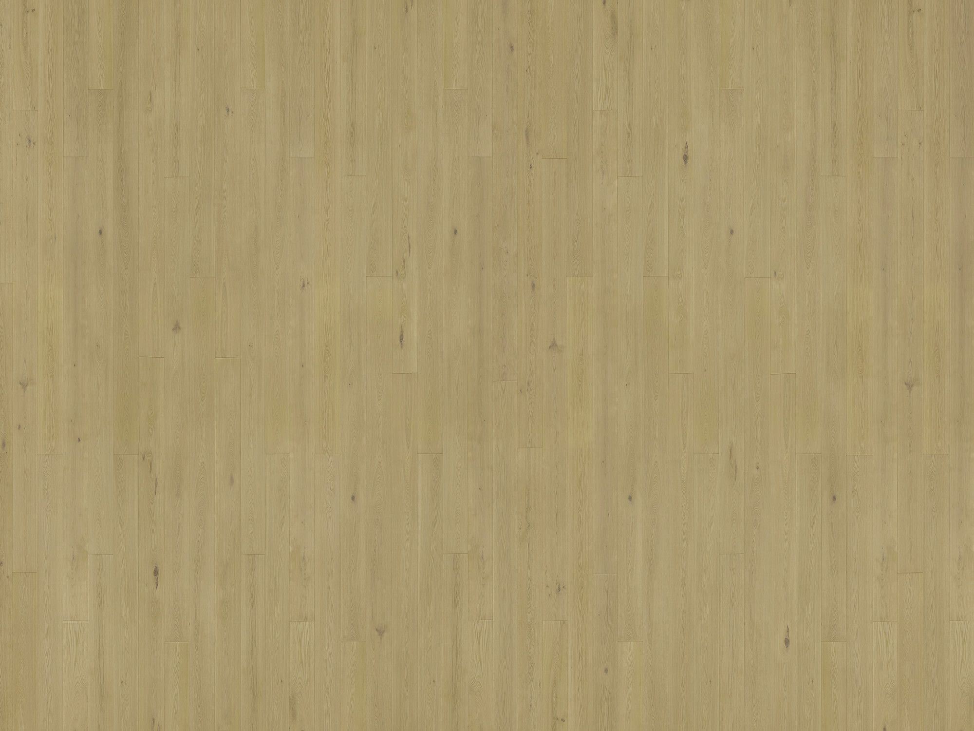 Freado Tongue & Groove