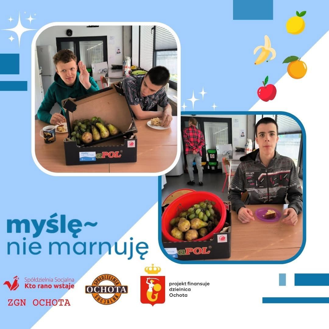 Projekty - zdjęcie 2