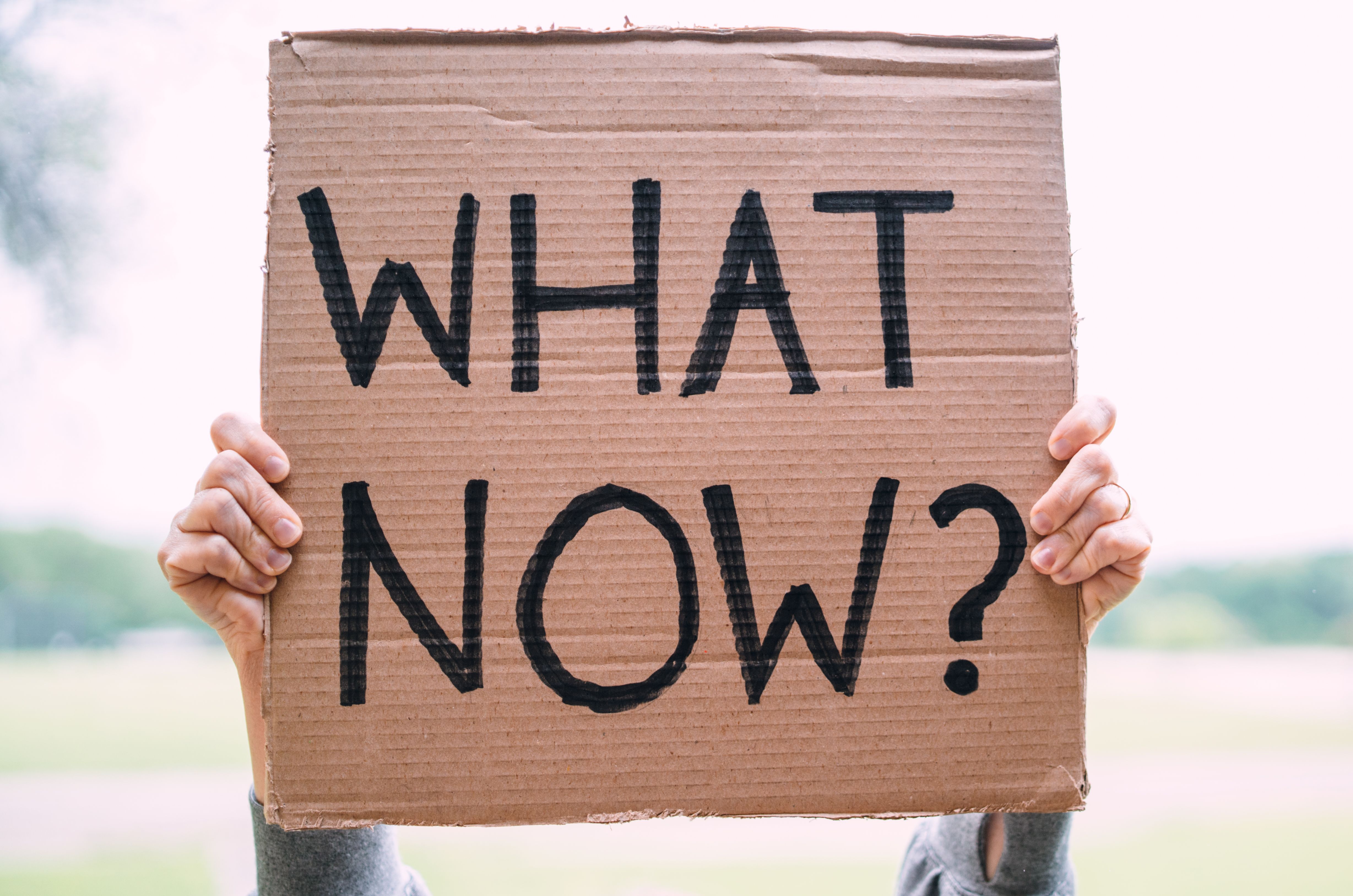 Cardboard Sign Reads "What Now?"