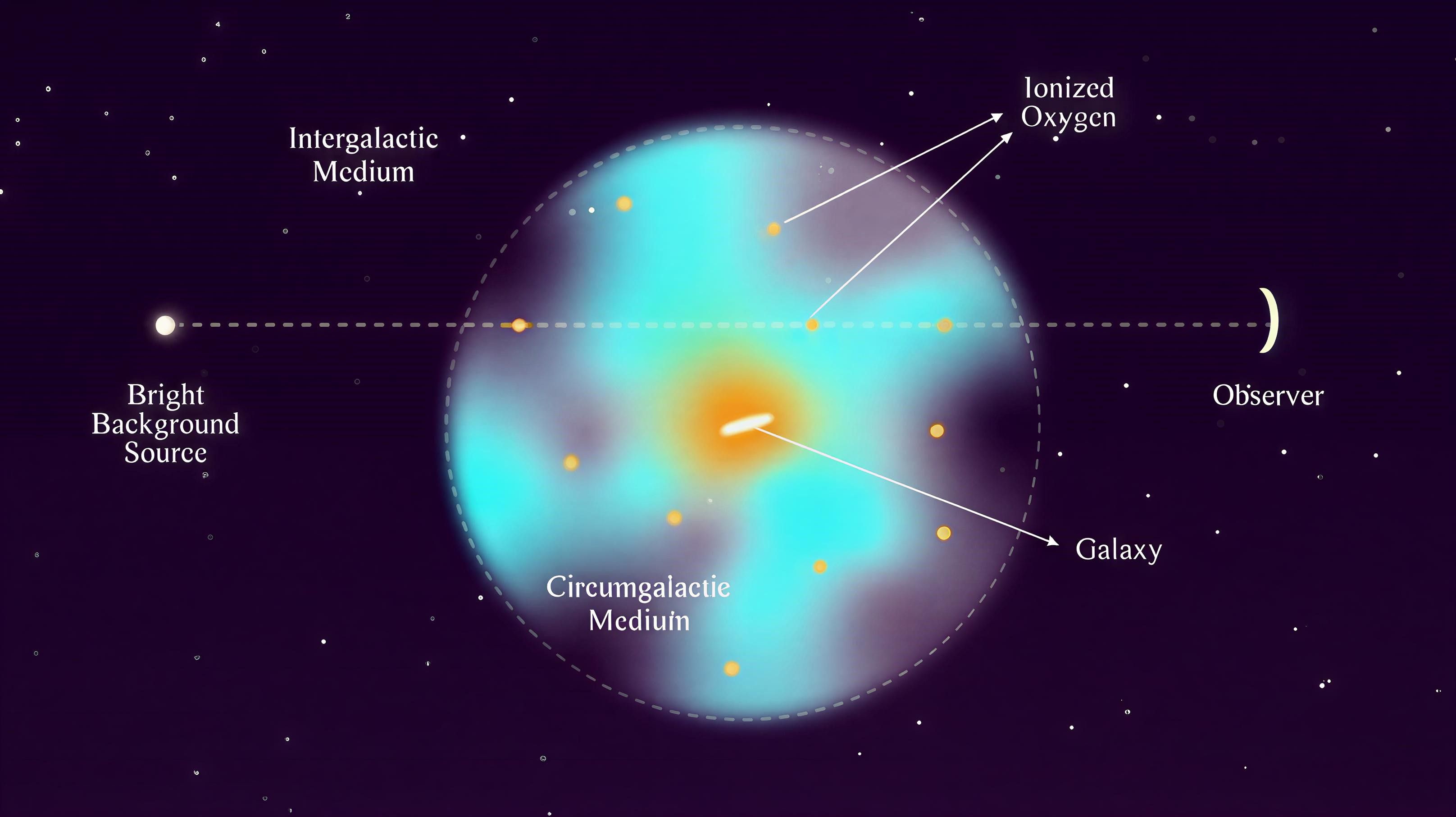 Insight Post Image