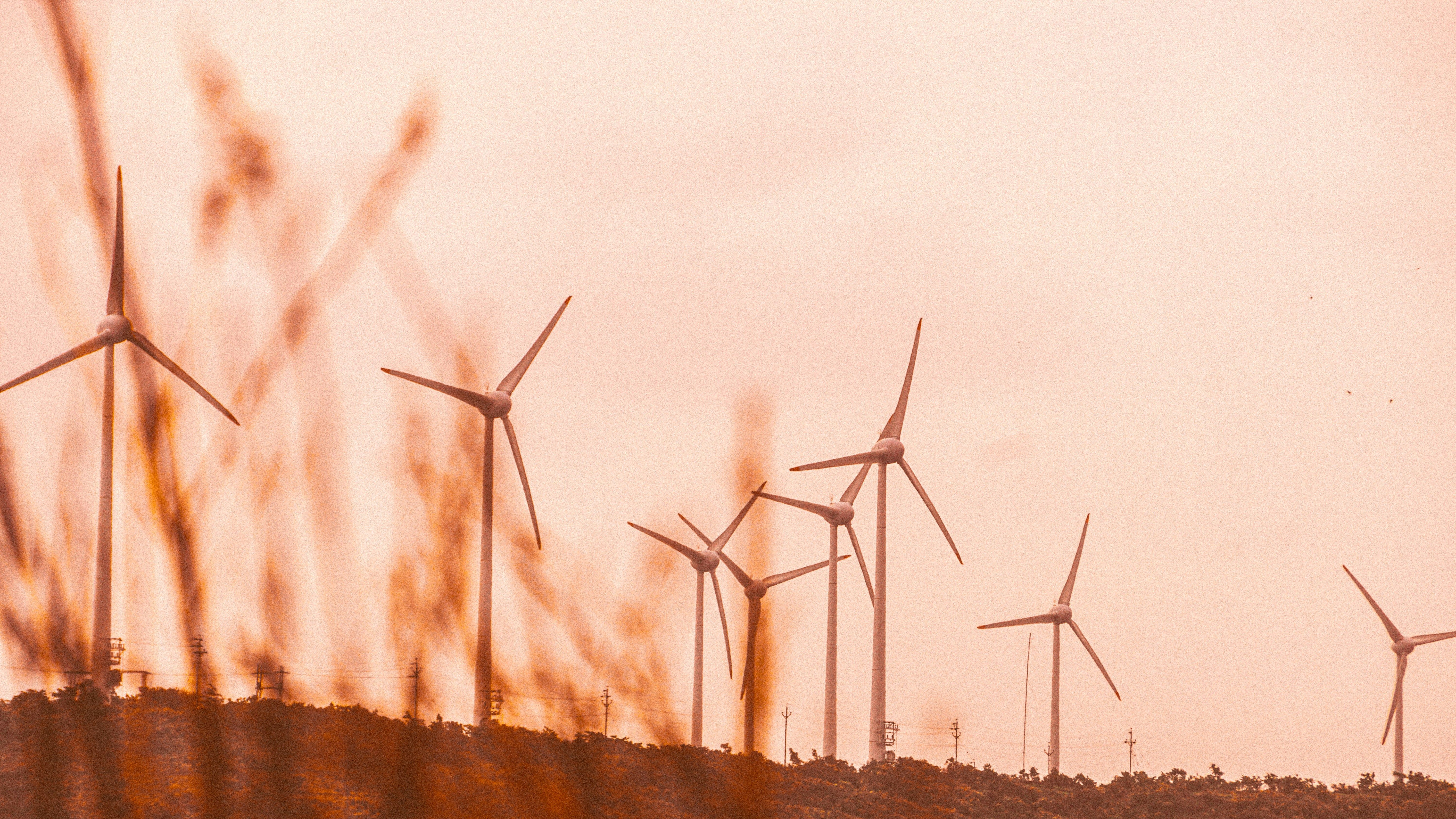 Green rush sparks $15b land play as solar-wind boom reshapes realty