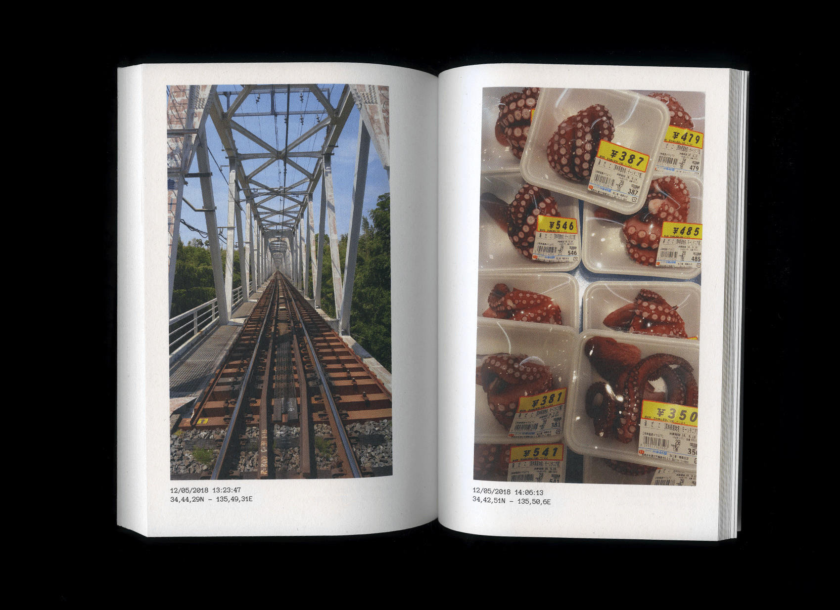 Double page de Raw images of Japan : une voie ferrée sous un pont métallique et des barquettes de poulpe étiquetées au supermarché.