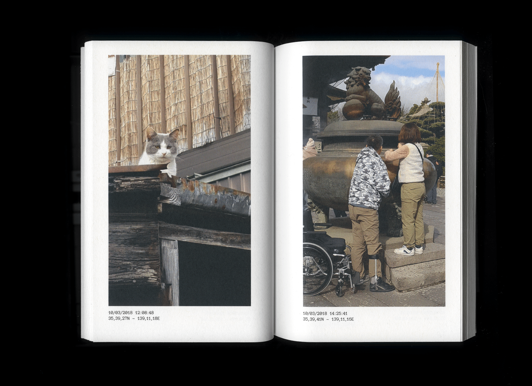 Double page de Raw images of Japan : un chat sur un vieux toit de bois et des passants autour d’un brûle-encens de temple, avec leurs métadonnées.