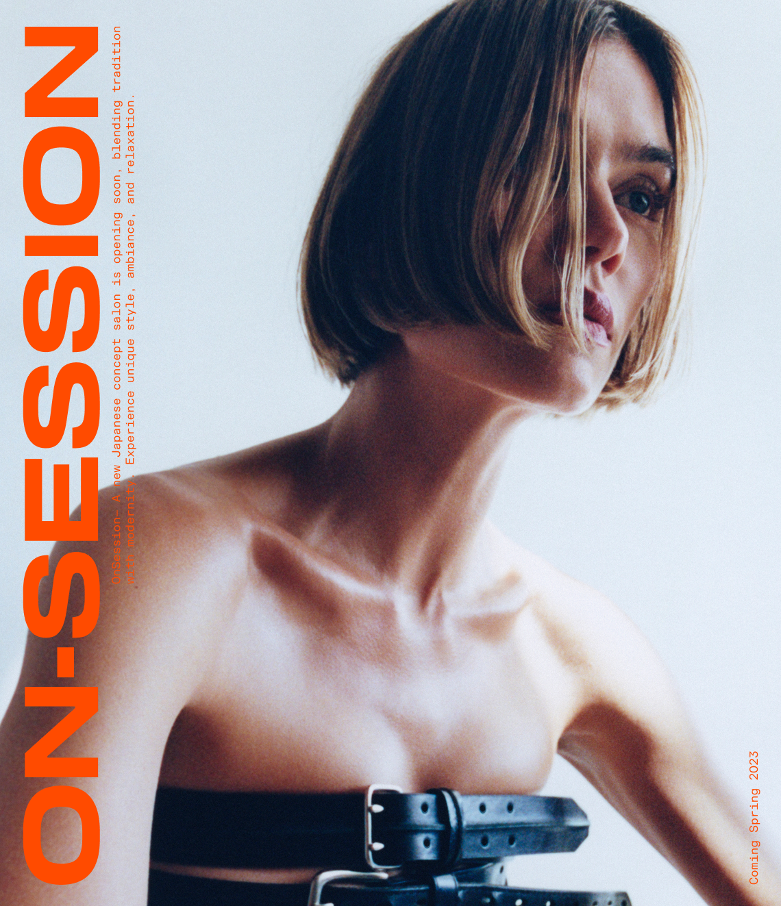 ON-SESSION