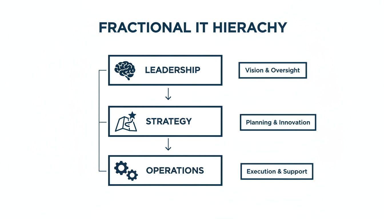 A hierarchical diagram illustrating the structure of fractional IT, detailing leadership, strategy, and operations with their respective functions.