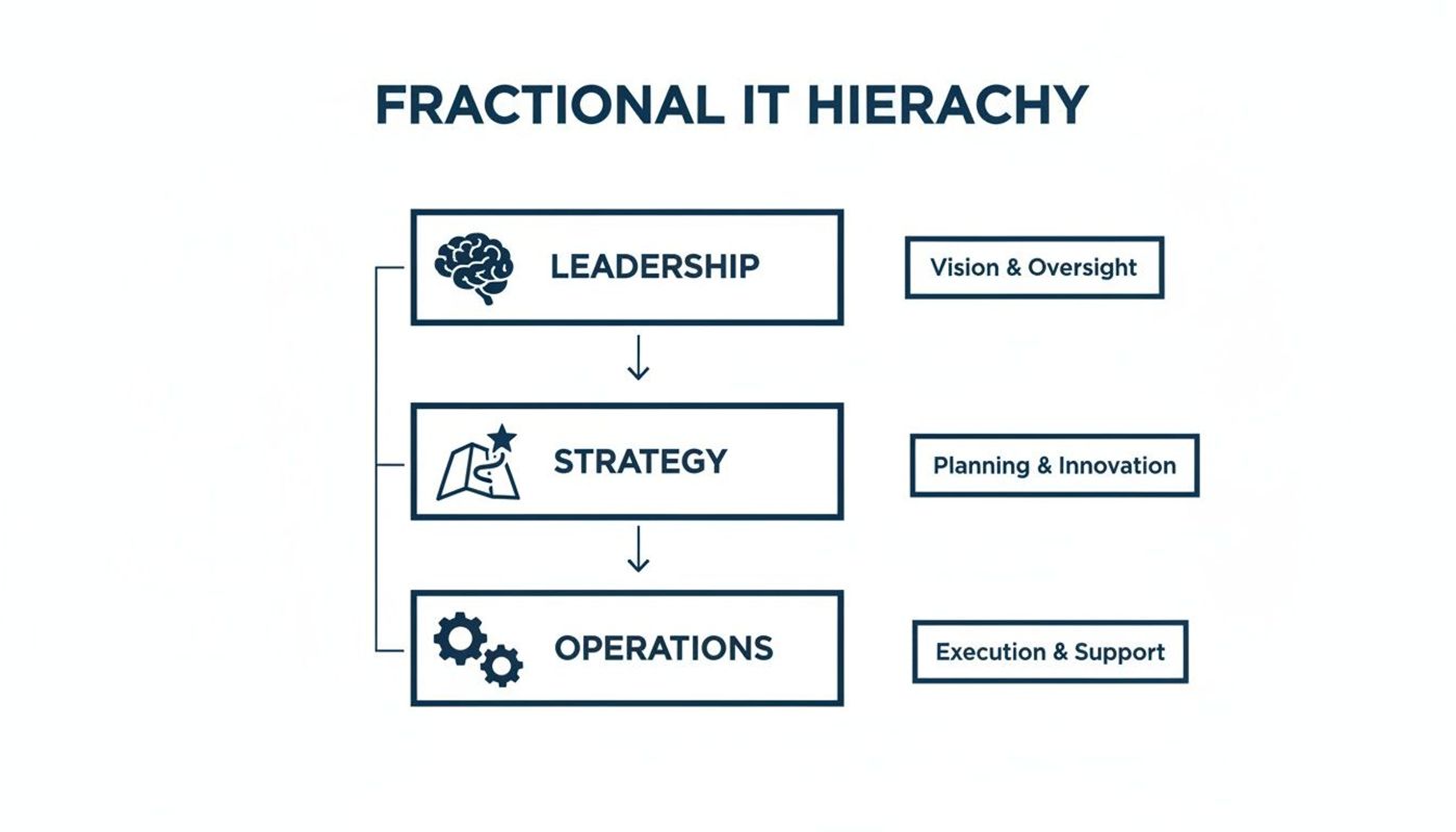 A hierarchical diagram illustrating the structure of fractional IT, detailing leadership, strategy, and operations with their respective functions.