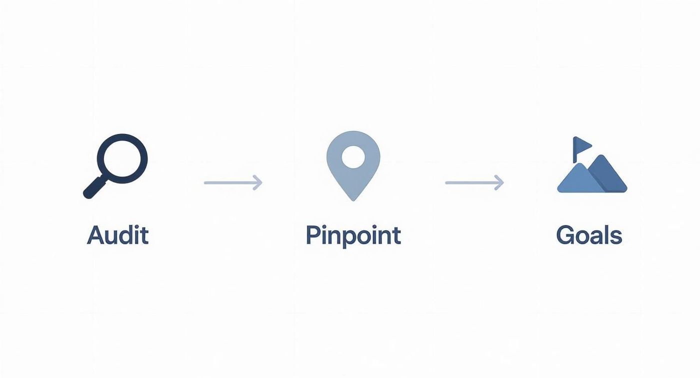 A three-step process diagram showing Audit (magnifying glass), Pinpoint (location pin), and Goals (flag on mountains).