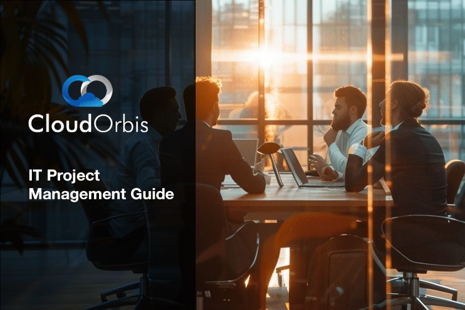 IT project management guide