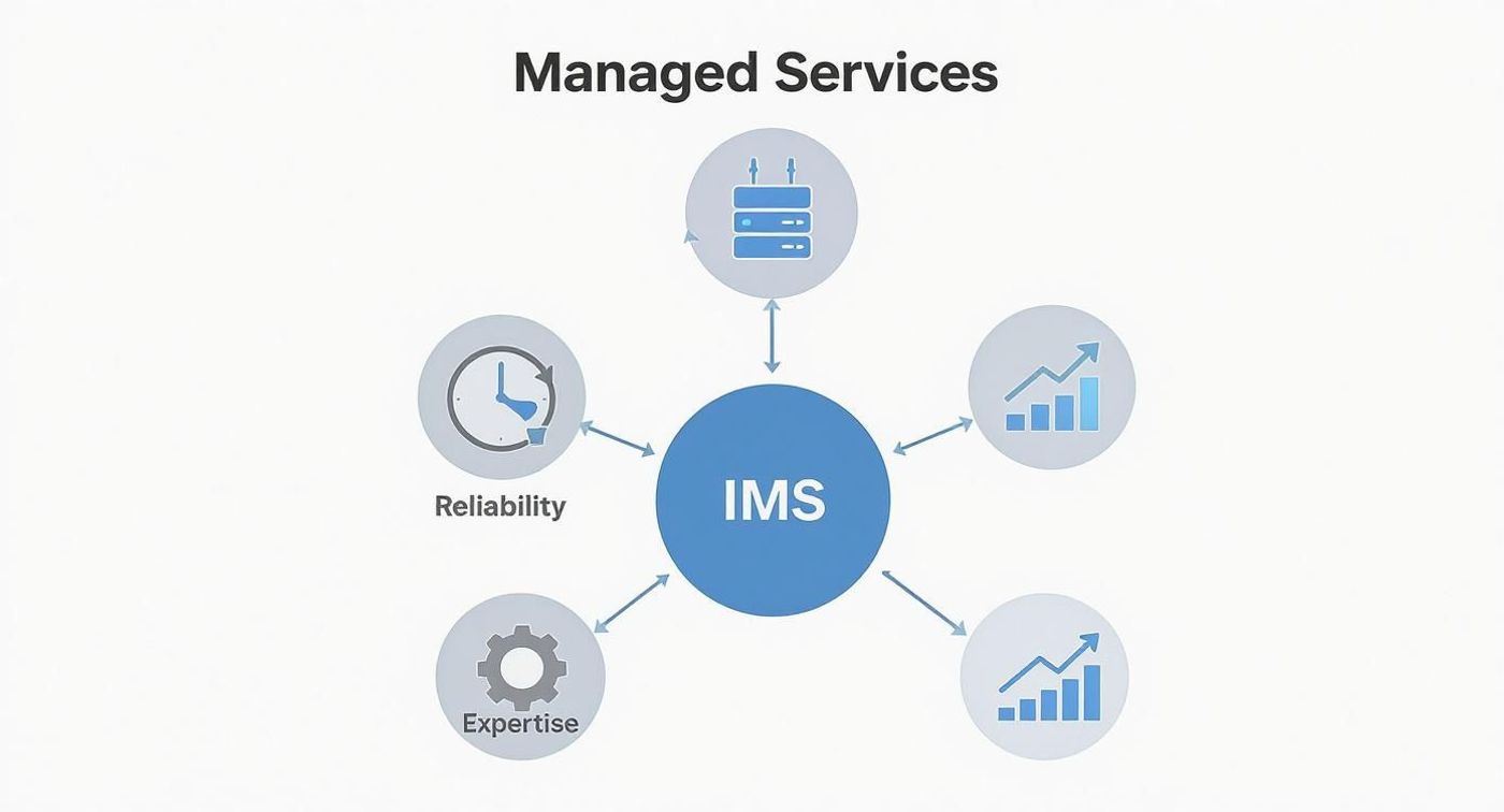 Infrastructure managed services diagram showing IMS central hub connected to reliability, expertise, and growth icons